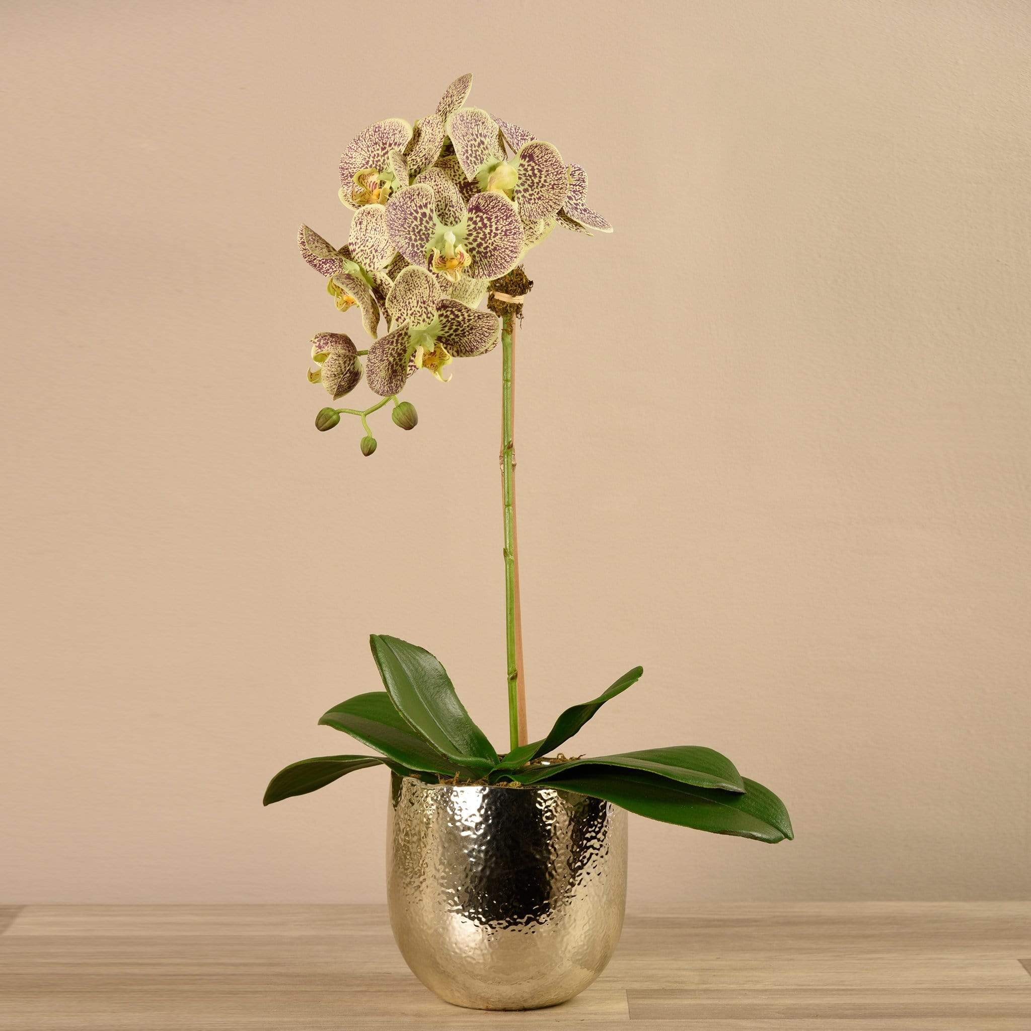 Jewel Artificial Orchid Arrangement - Image 14