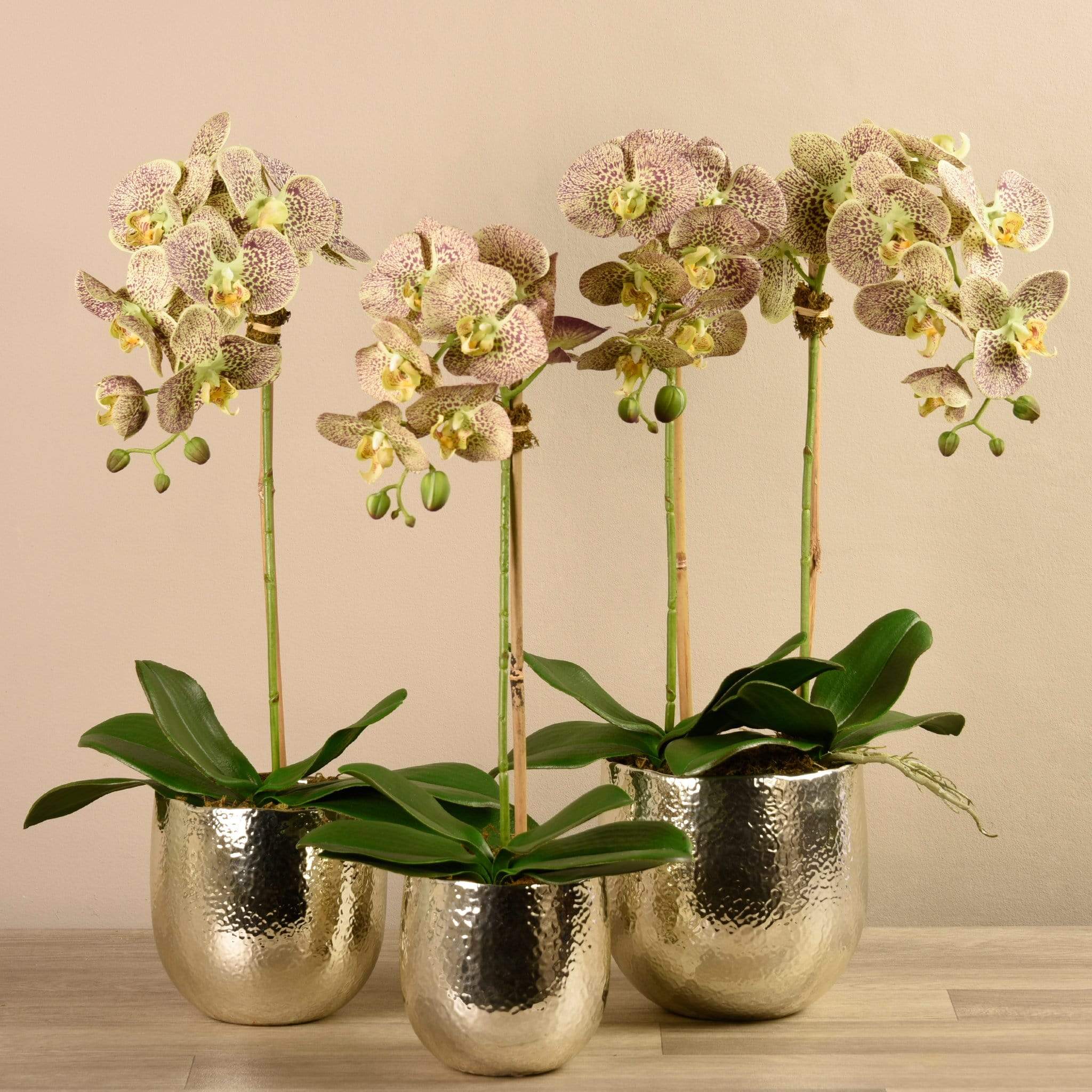 Jewel Artificial Orchid Arrangement - Image 16