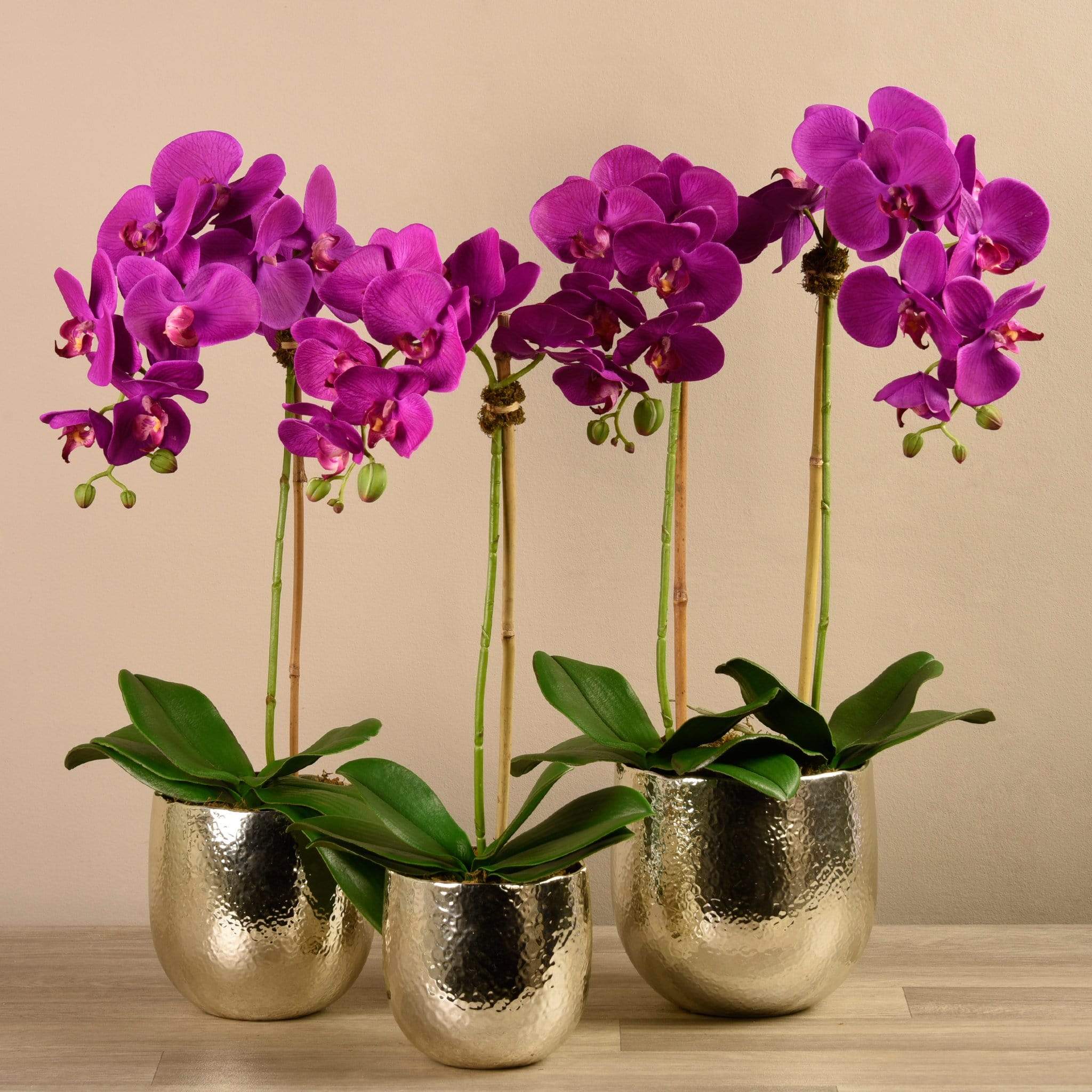 Jewel Artificial Orchid Arrangement - Image 8