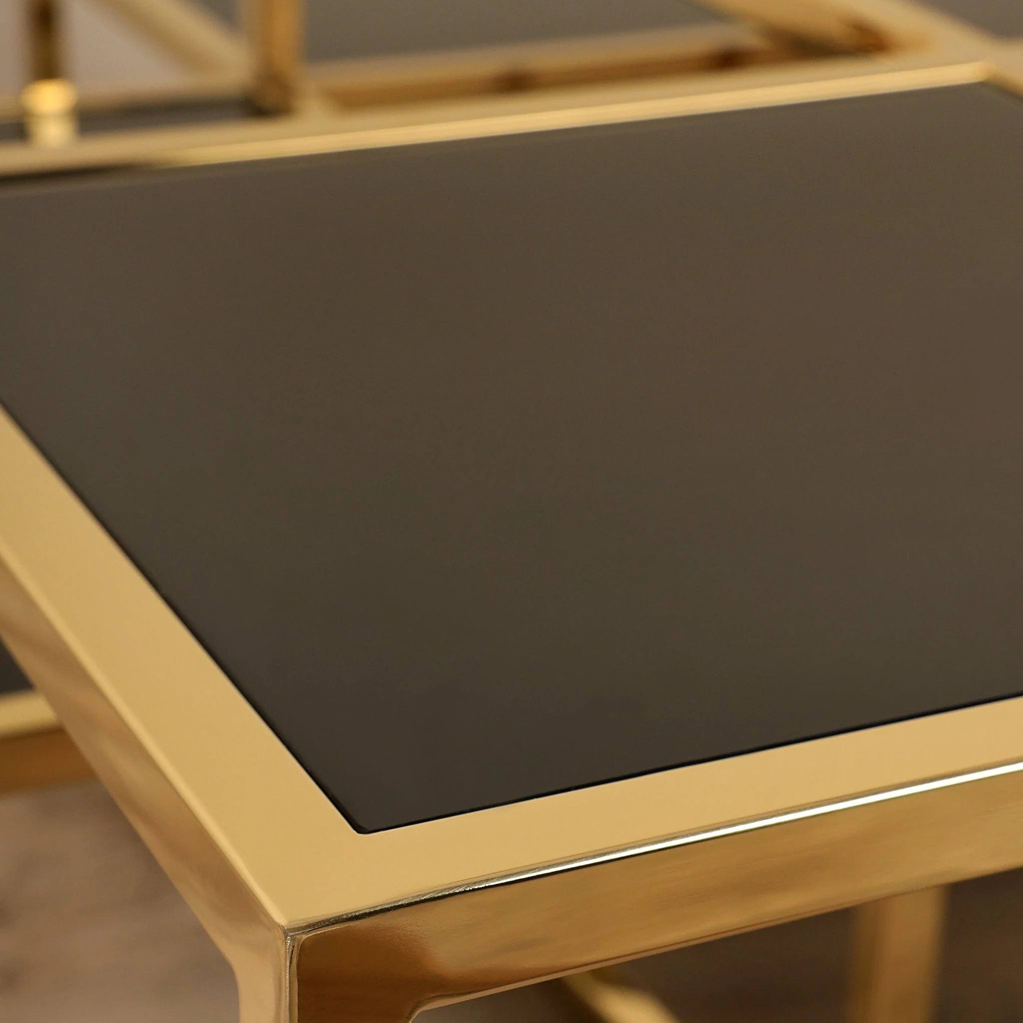 Kaiser Coffee Table - Image 4
