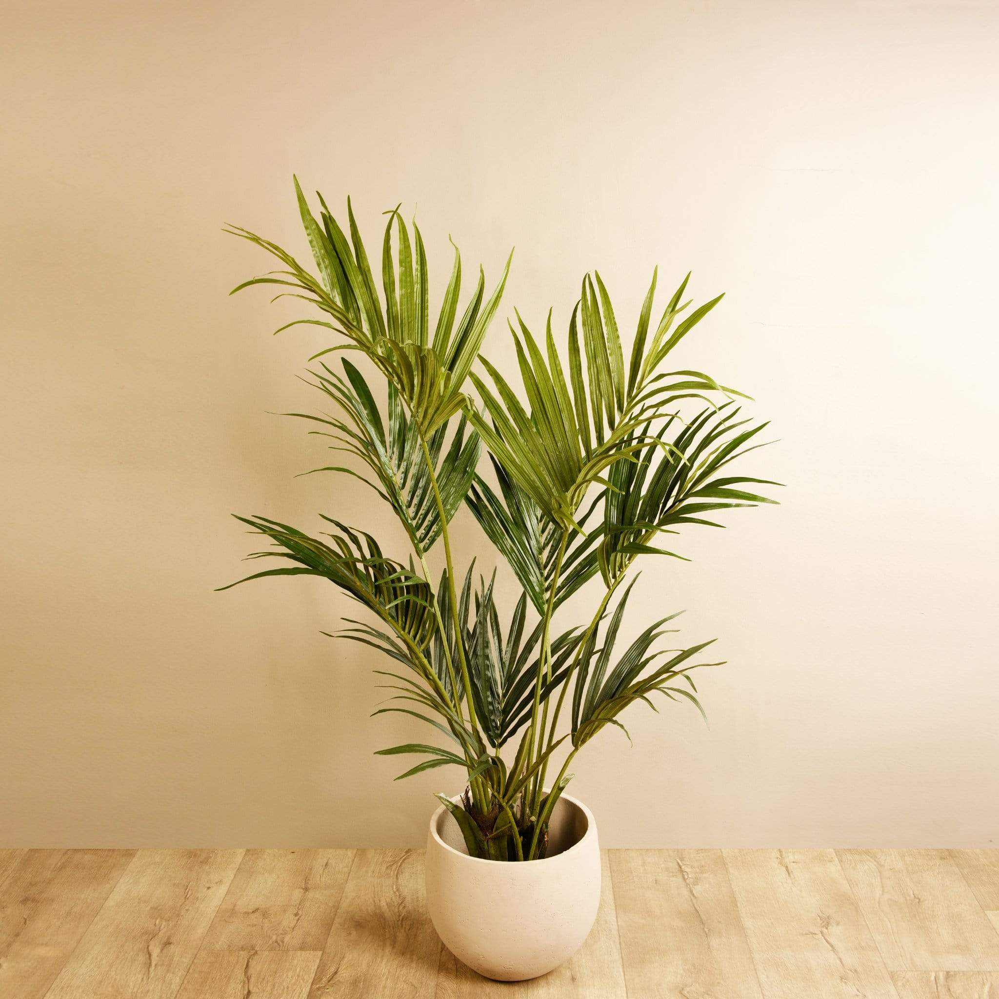 Trees Sale