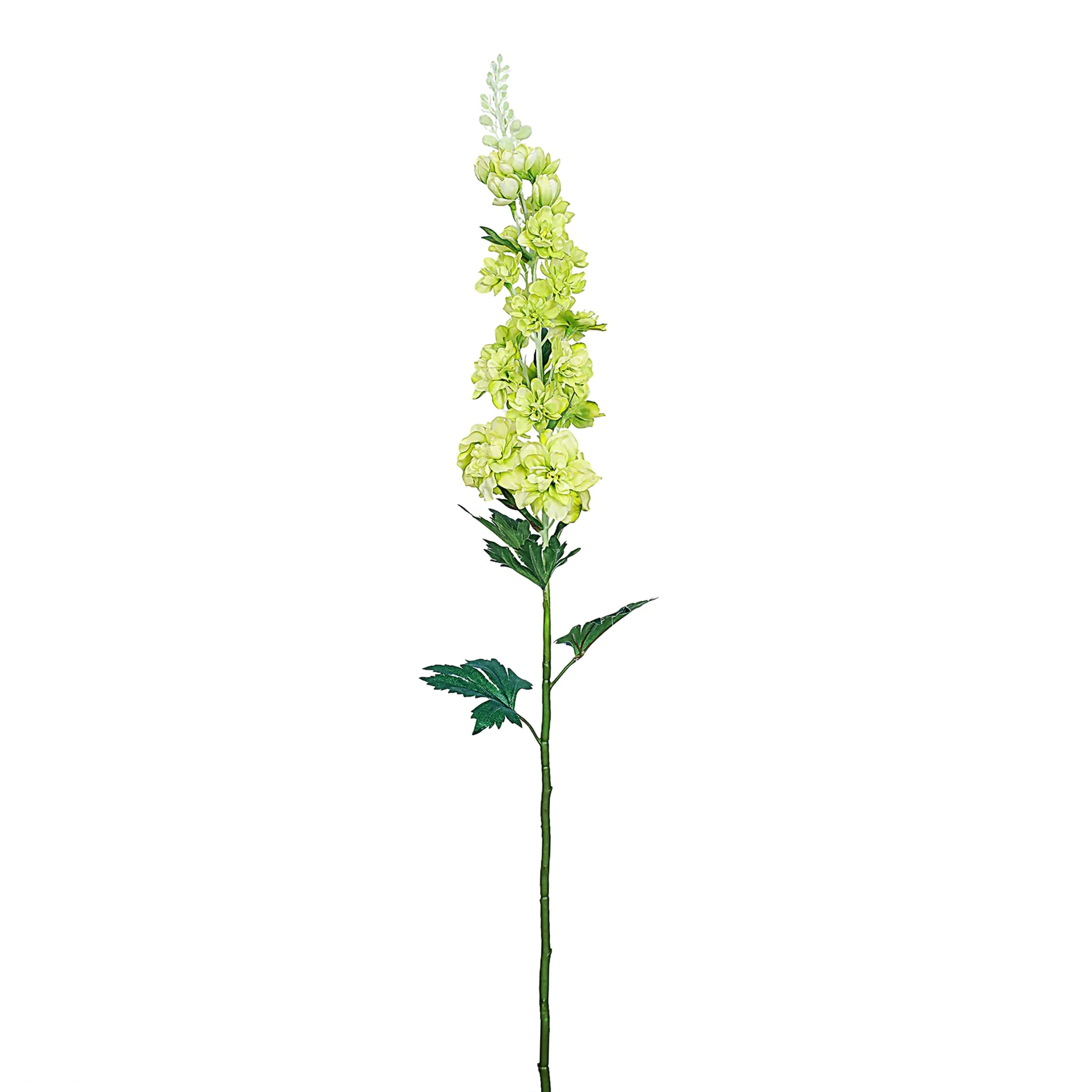 Larkspur - Image 3