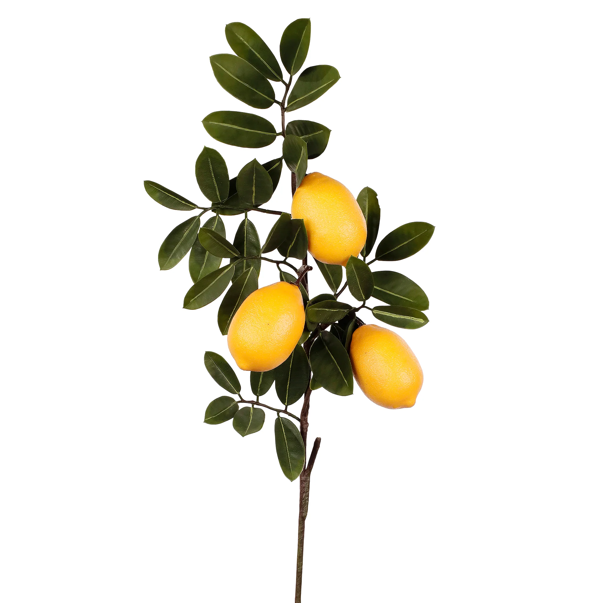 Lemon Teardrop Stem