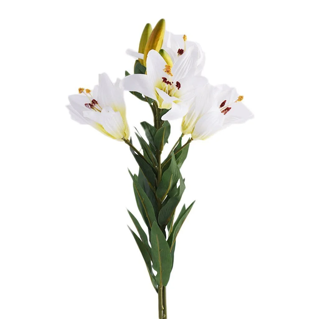 Lilly