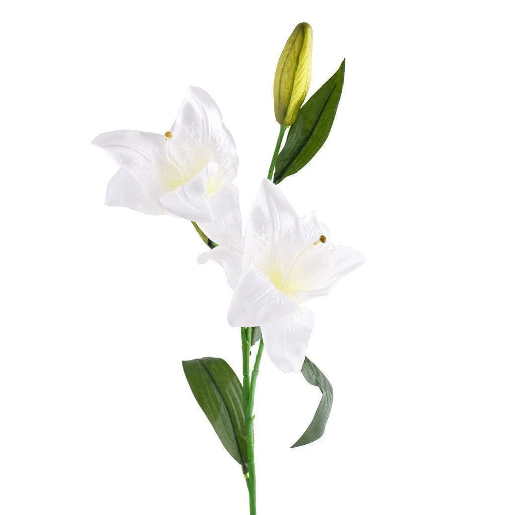 Lily