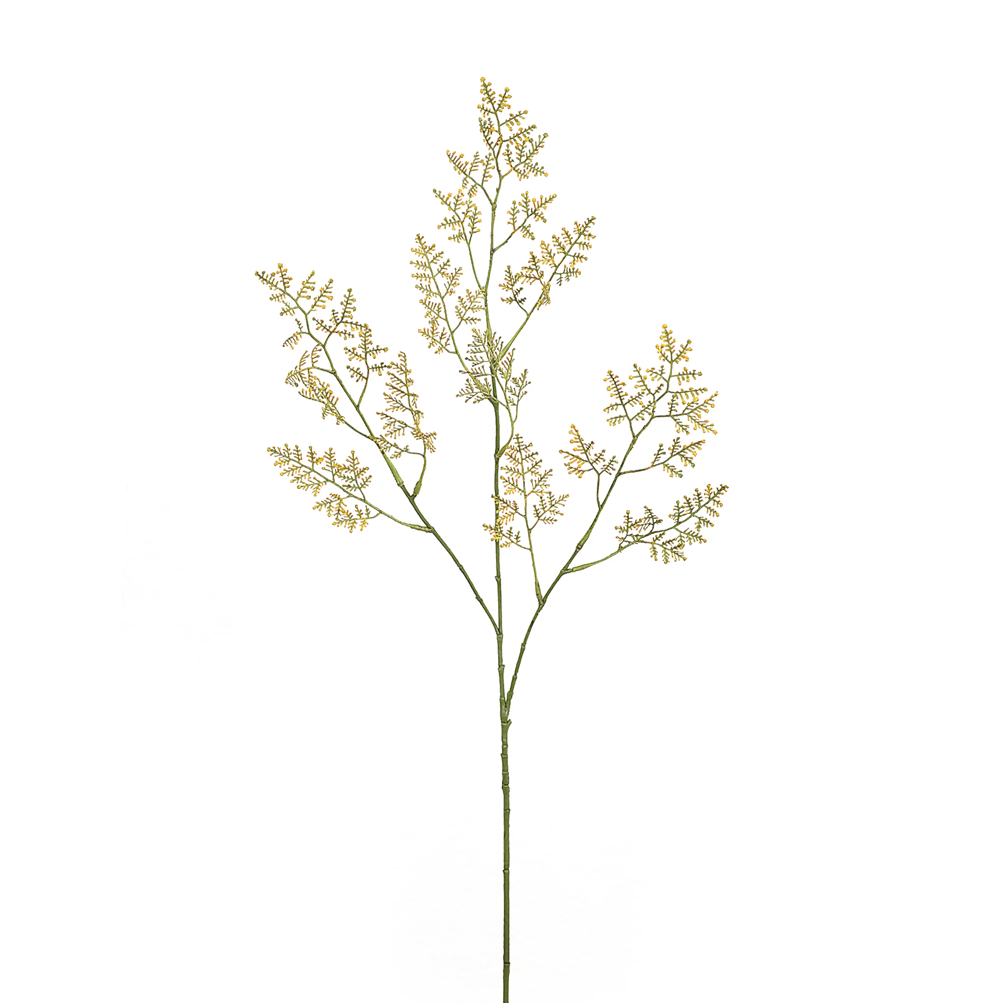 Limonium Spray