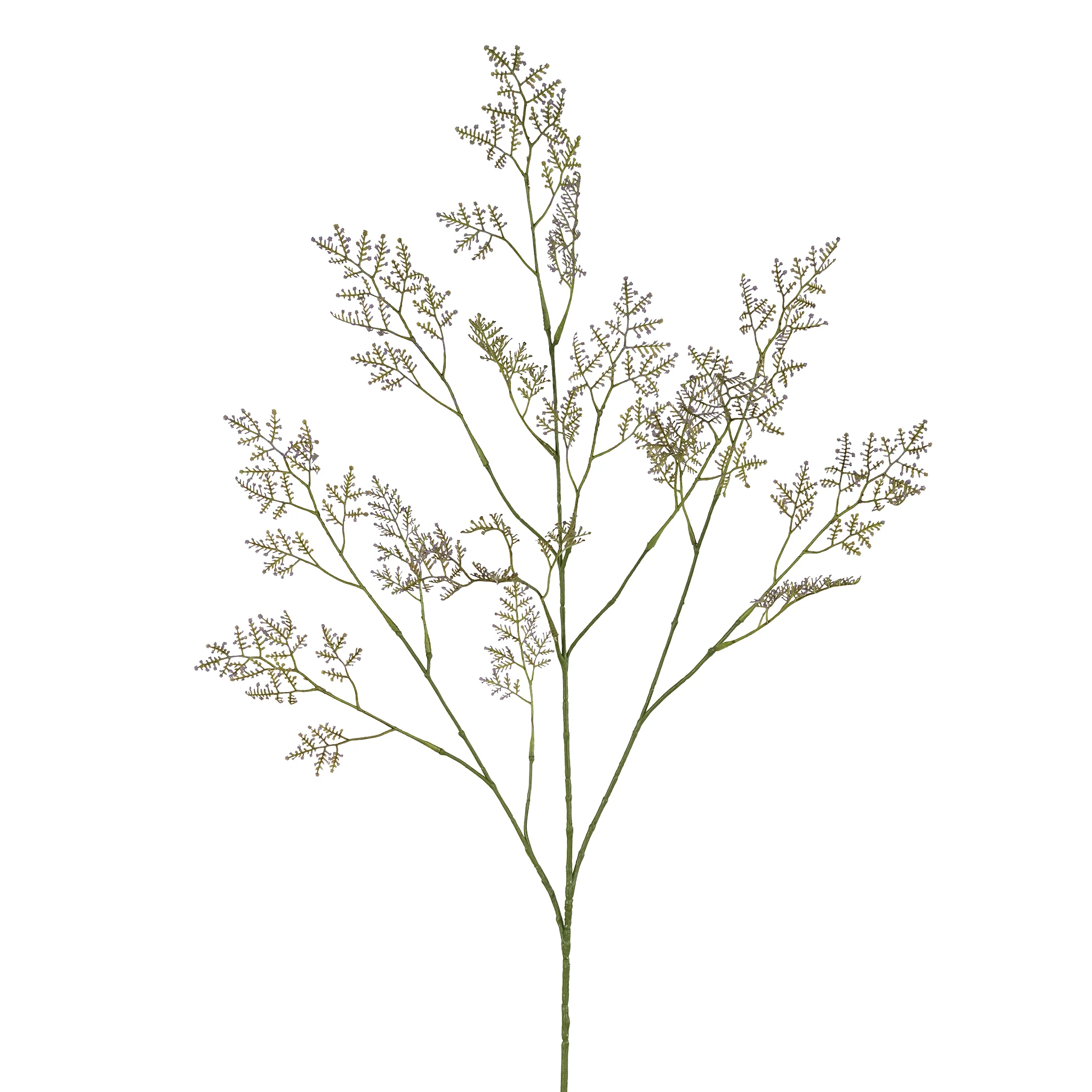 Limonium Spray