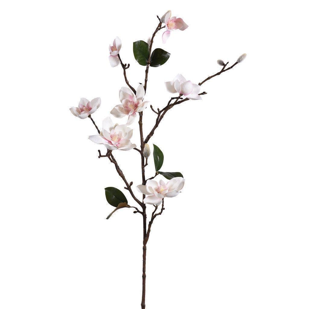 Magnolia - Image 3