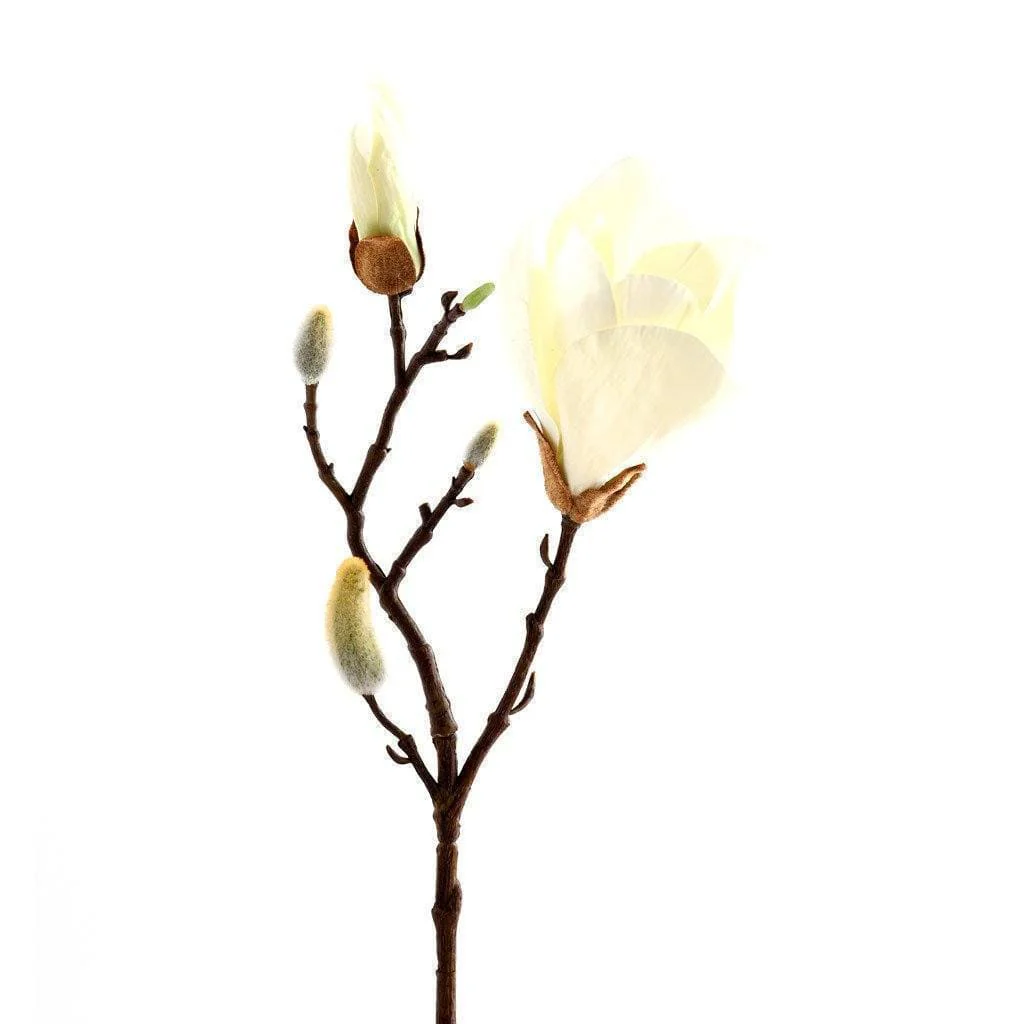 Magnolia - Image 3