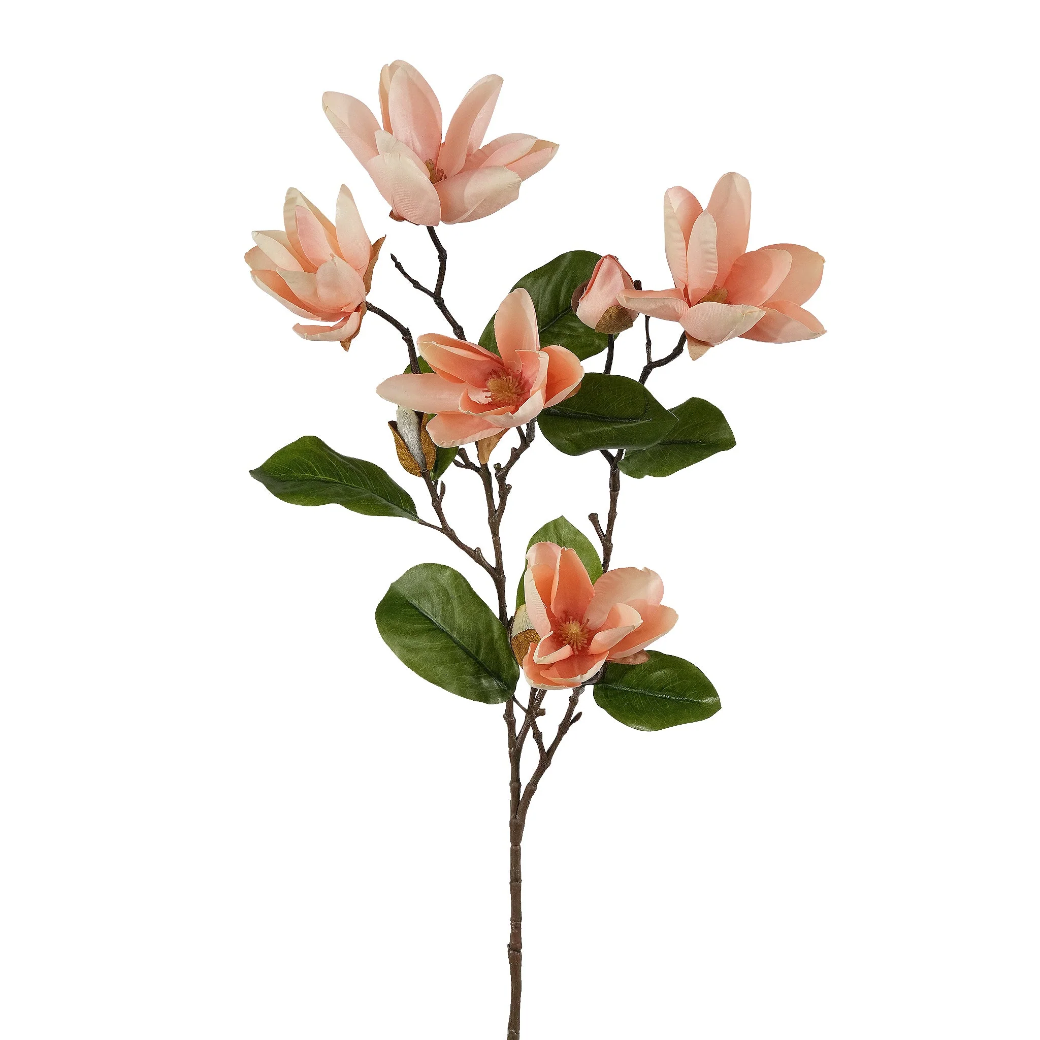 Magnolia - Image 2