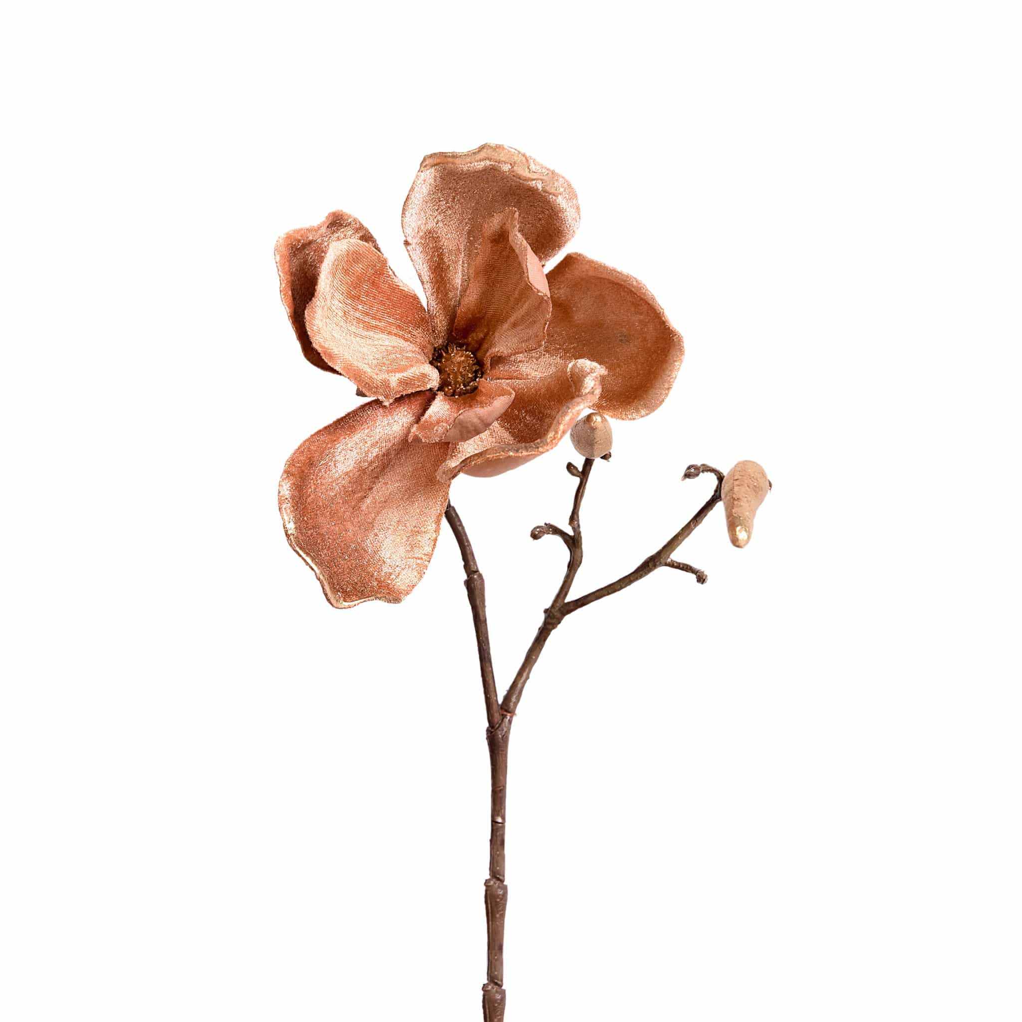 Magnolia - Image 3