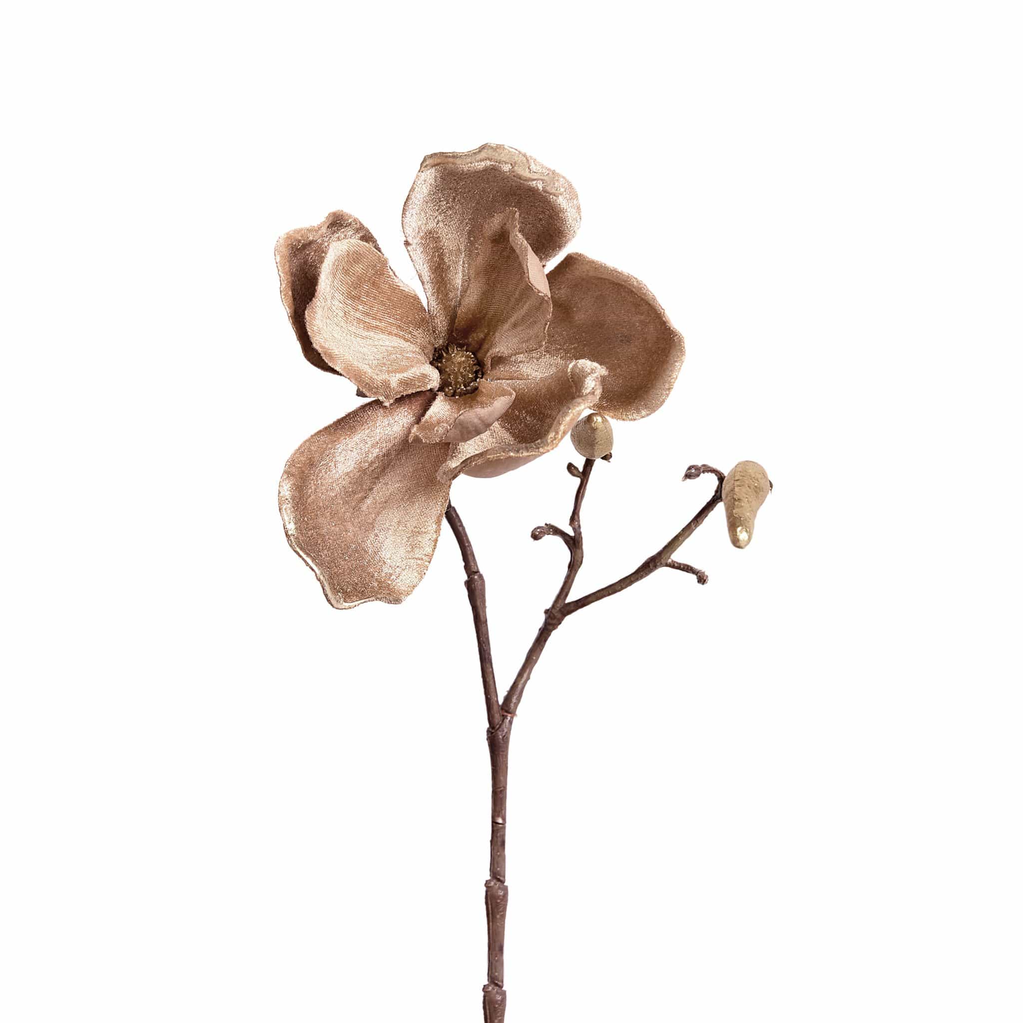Magnolia - Image 5