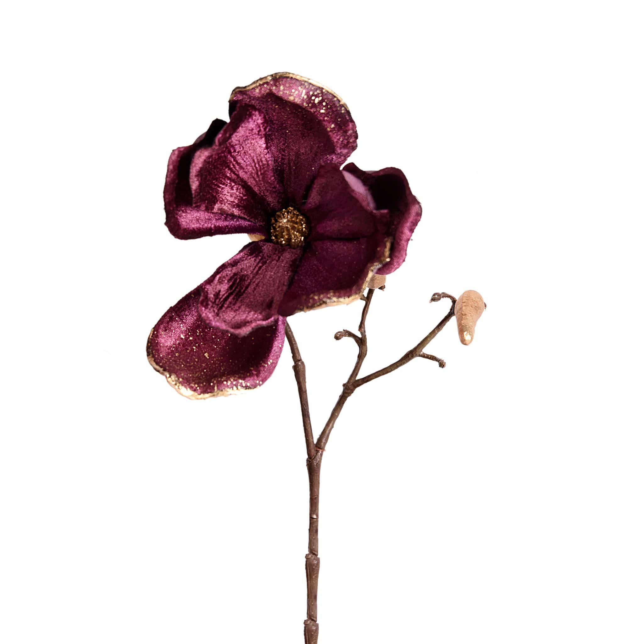 Magnolia - Image 6