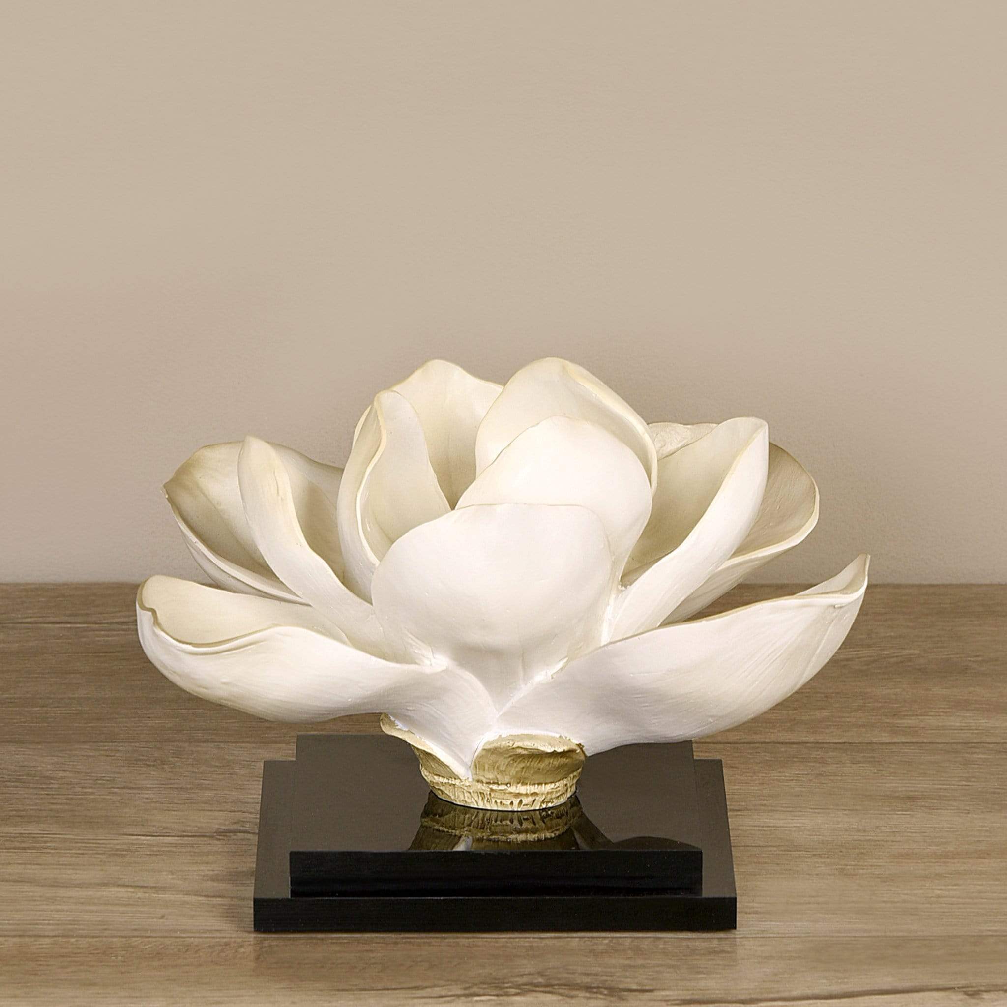 Kinoa - Image 3