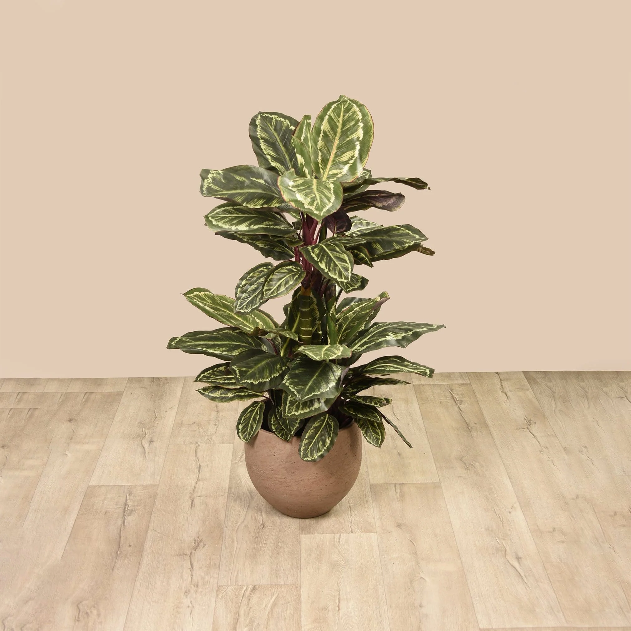 Artificial Maranta Plant 110cm - Image 3
