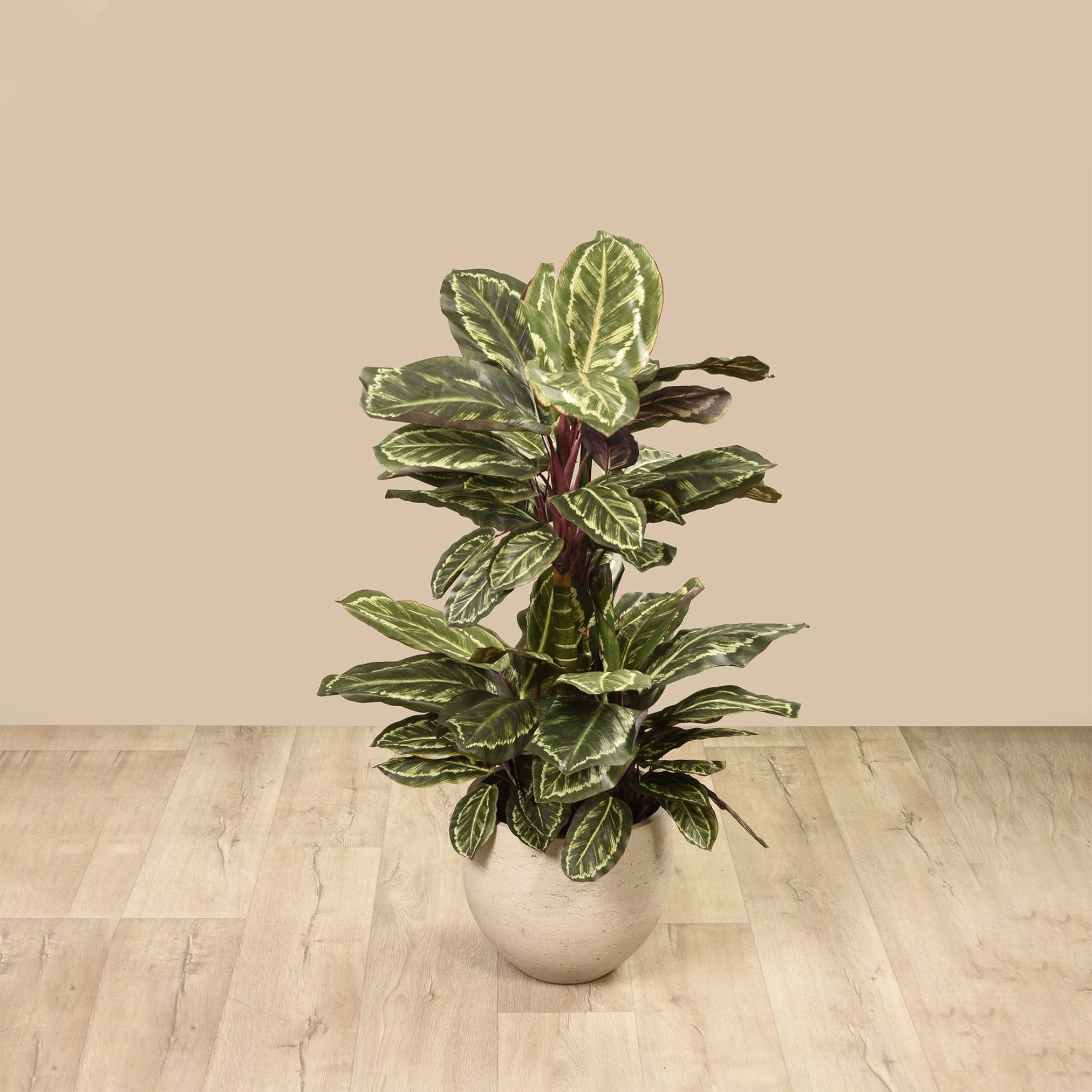Artificial Maranta Plant 110cm - Image 4