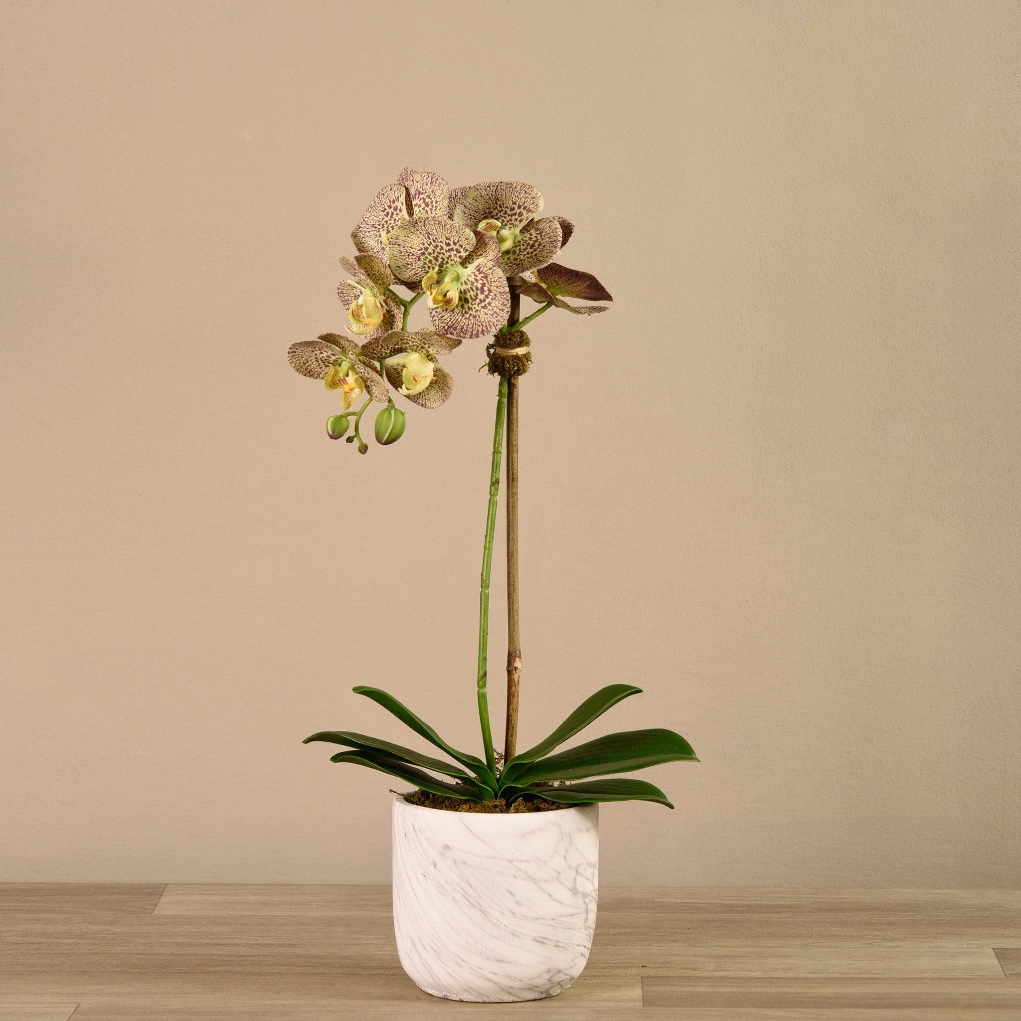 Artificial Orchid Arrangement - Image 13