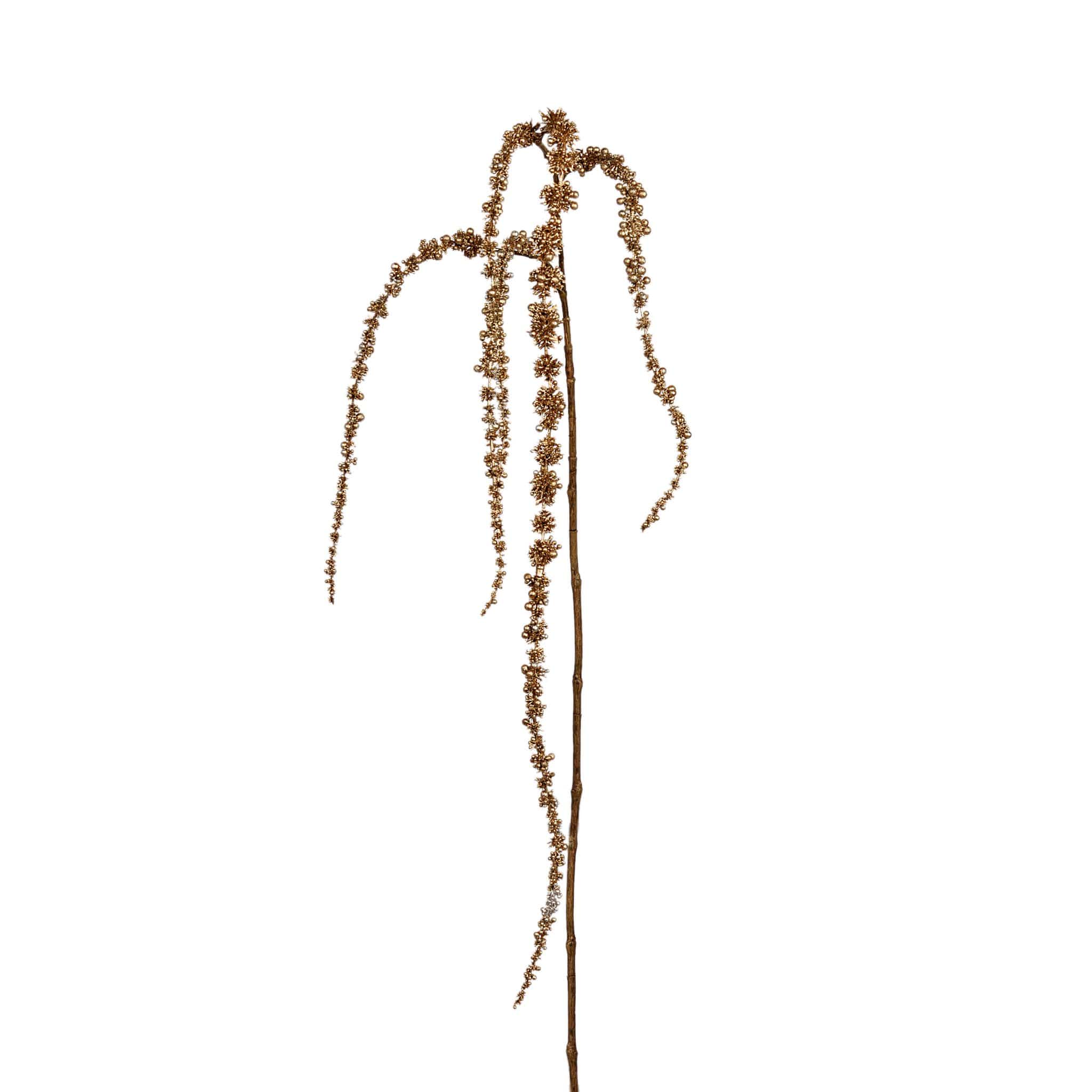 Metallic Amaranthus