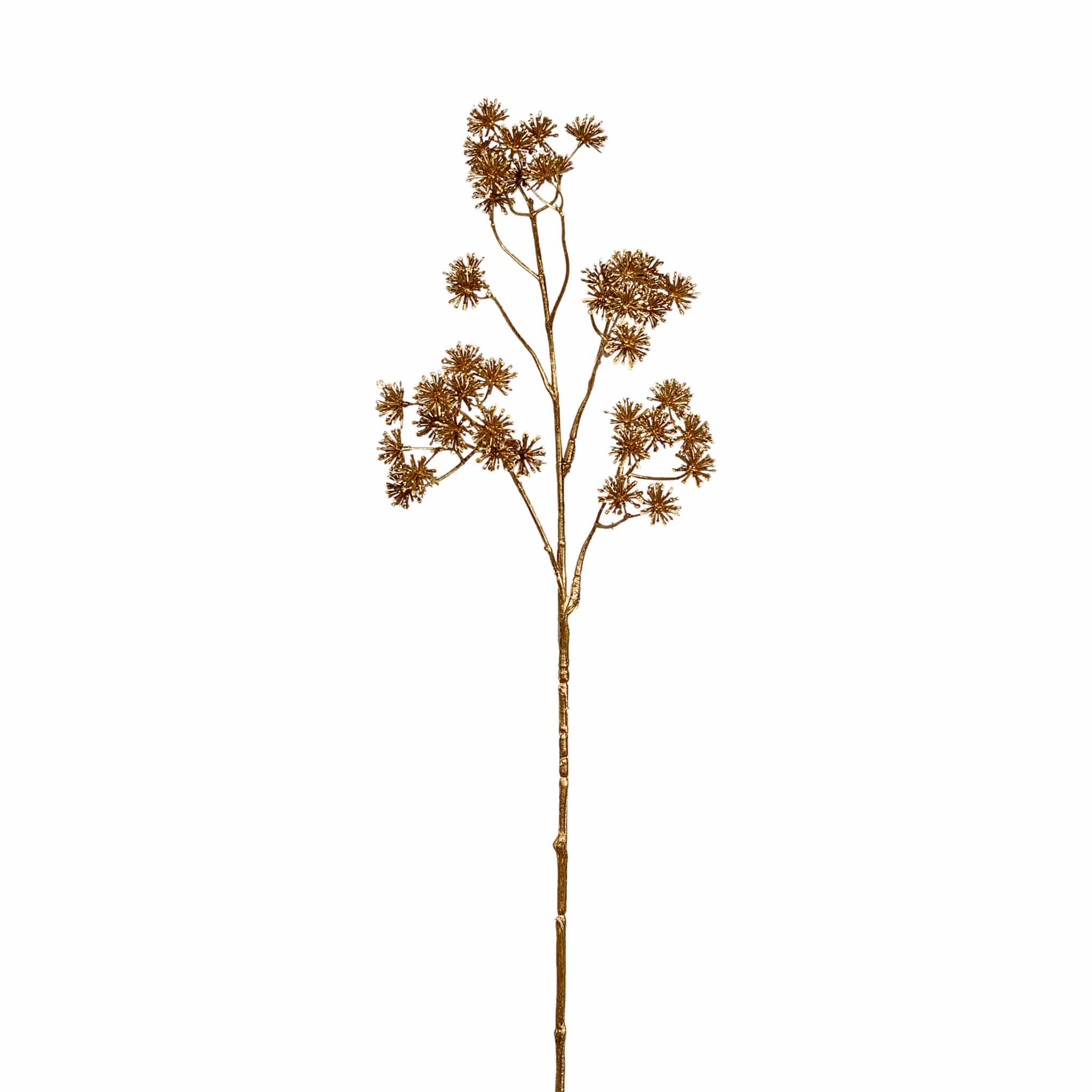 Metallic Aralia