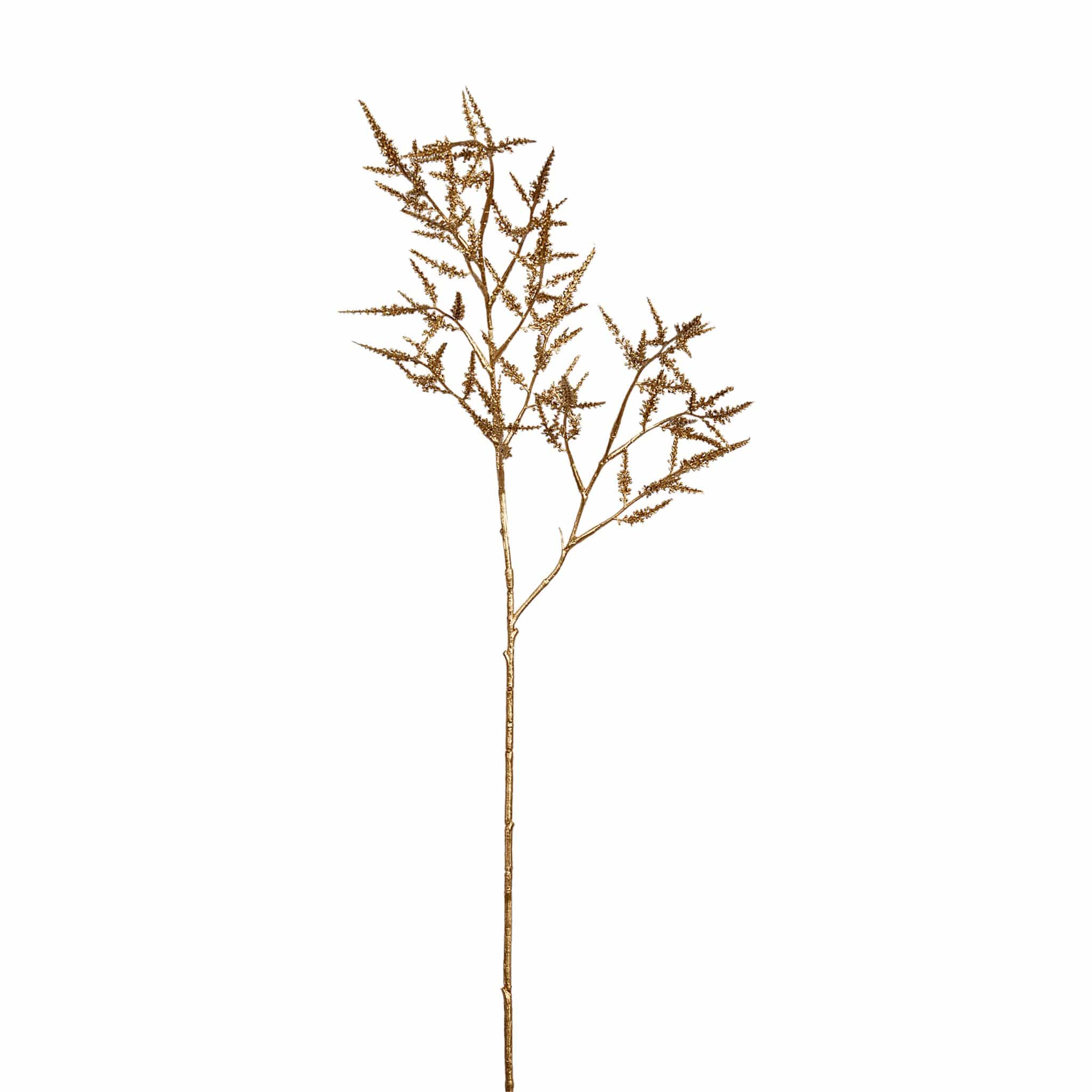 Metallic Astilbe