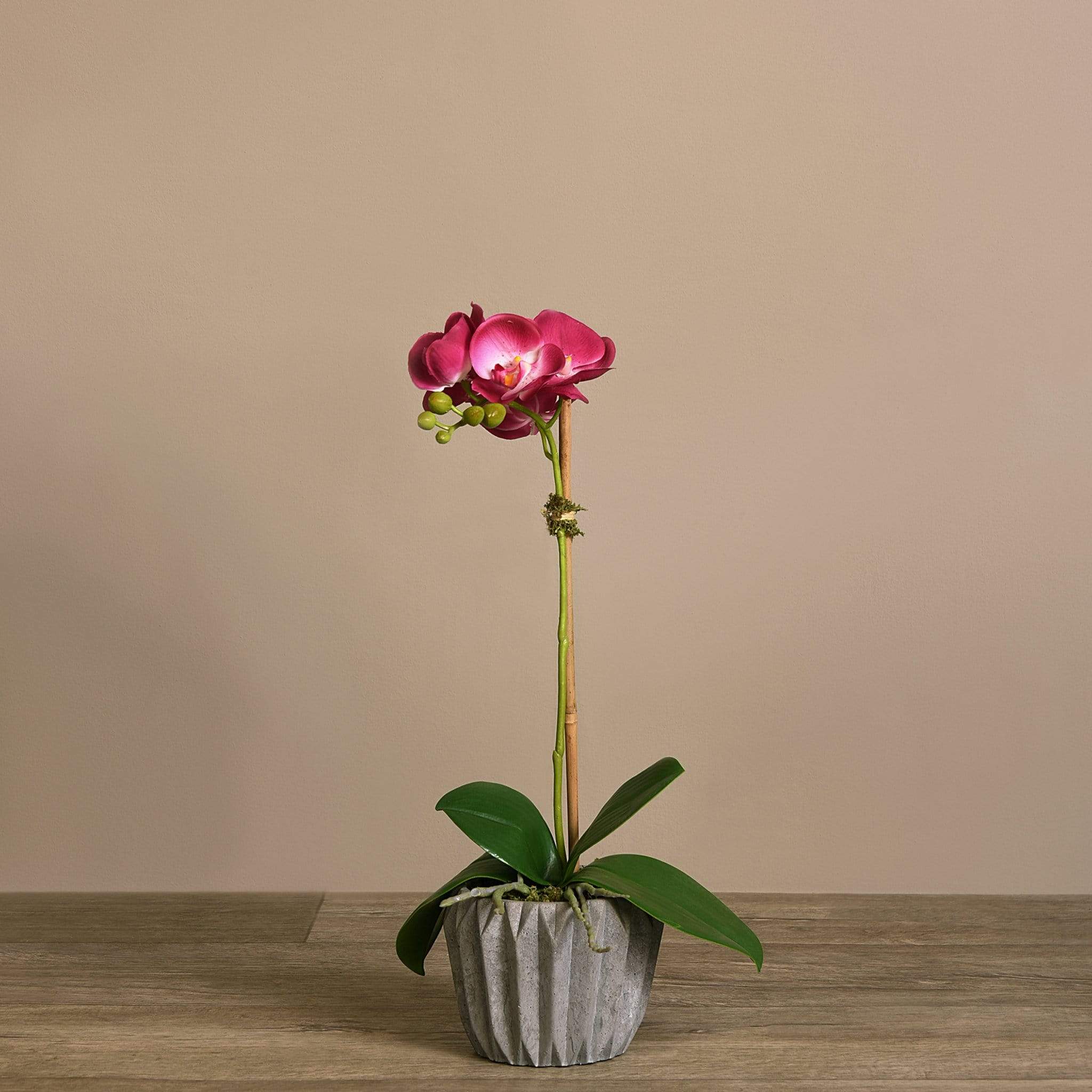 Modern Orchid Arrangement - Image 11