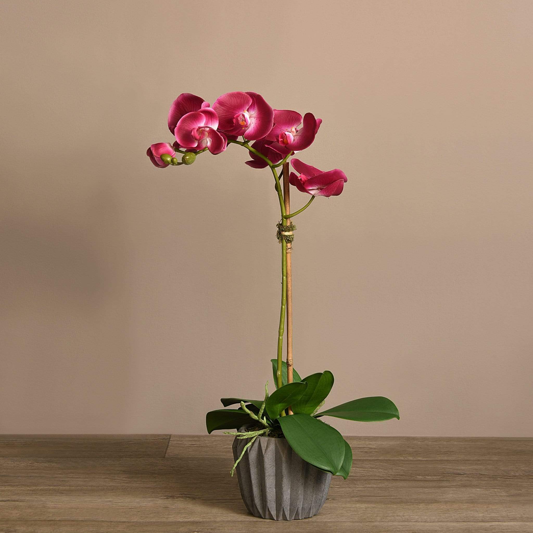Modern Orchid Arrangement - Image 12