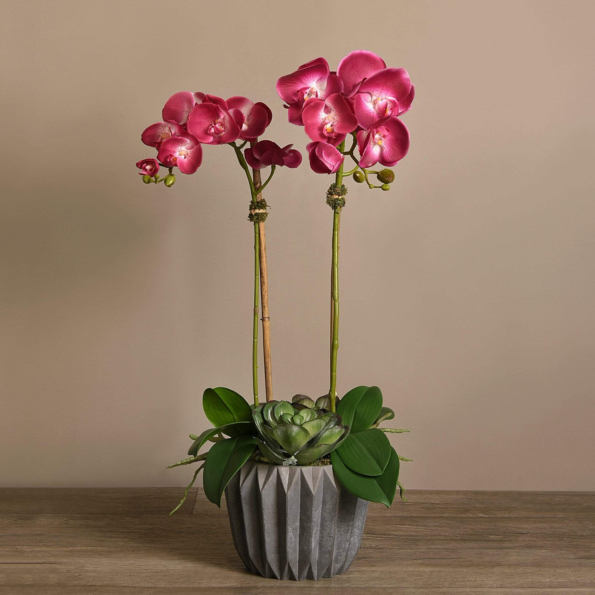 Modern Orchid Arrangement - Image 13