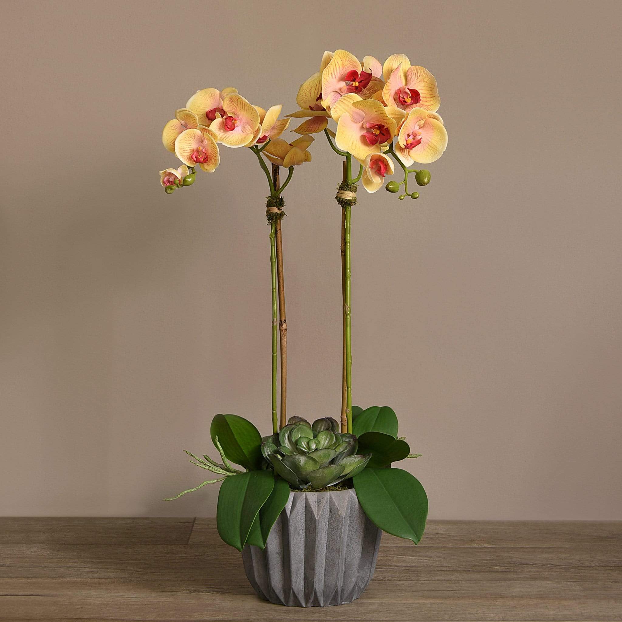 Modern Orchid Arrangement - Image 17