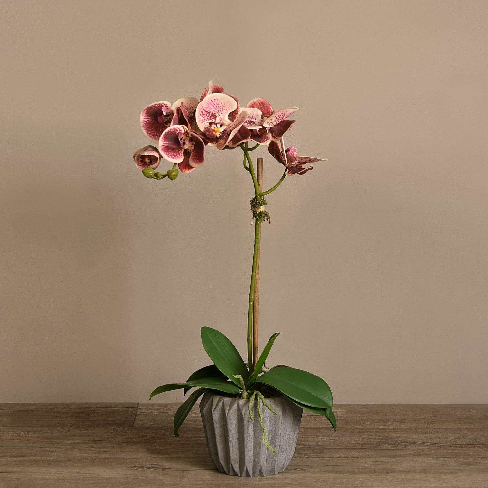 Modern Orchid Arrangement - Image 19