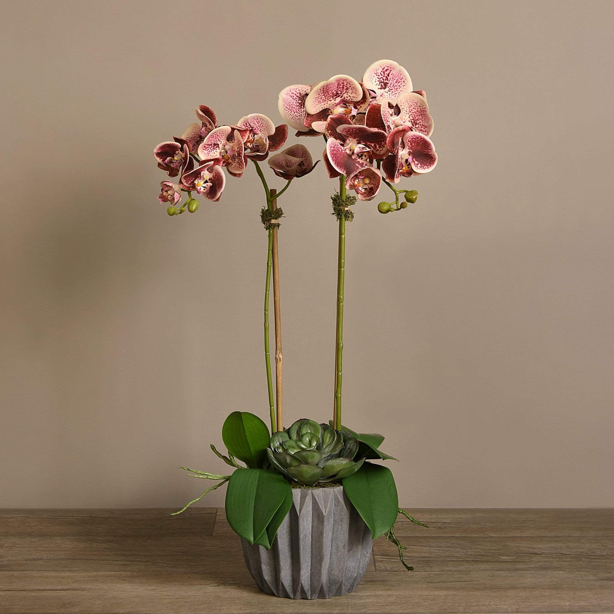 Modern Orchid Arrangement - Image 22