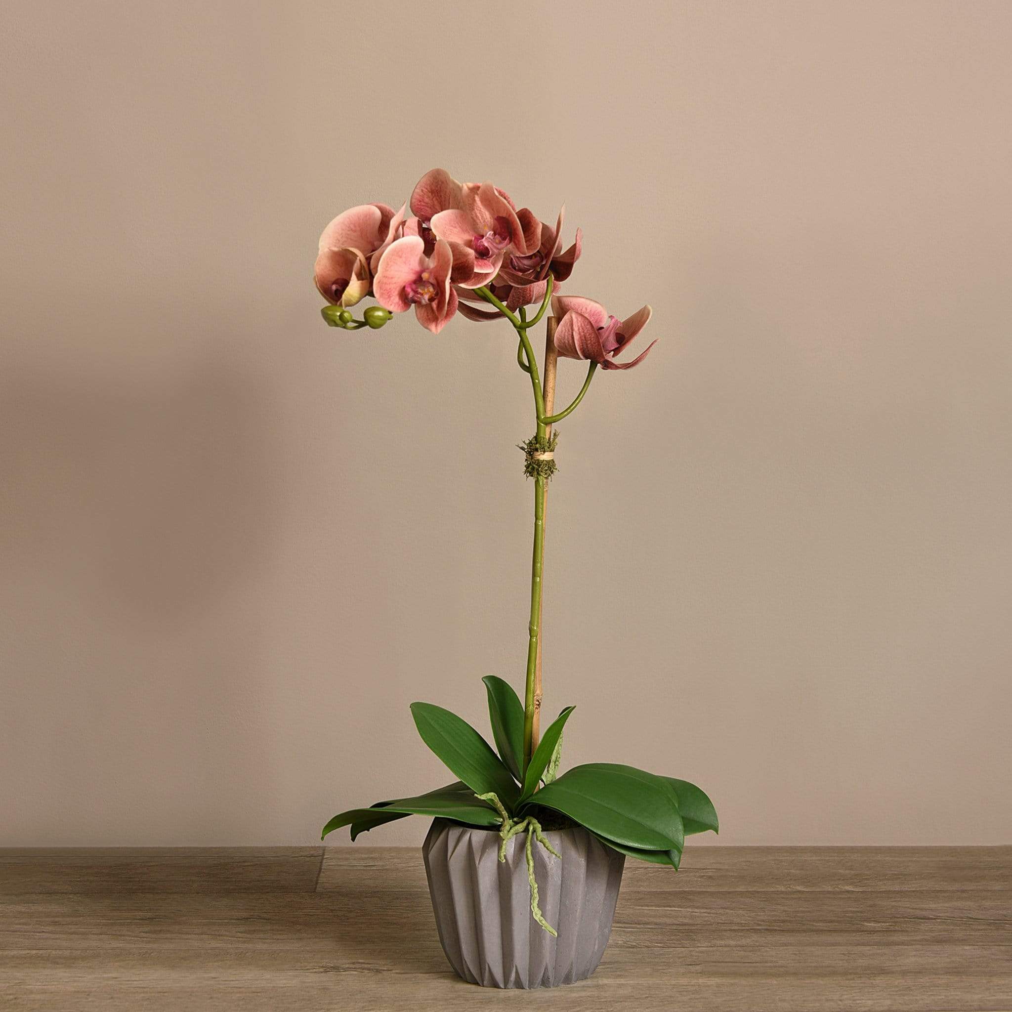 Modern Orchid Arrangement - Image 8