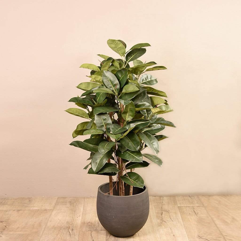 Artificial Rubber Tree 130cm - Image 5