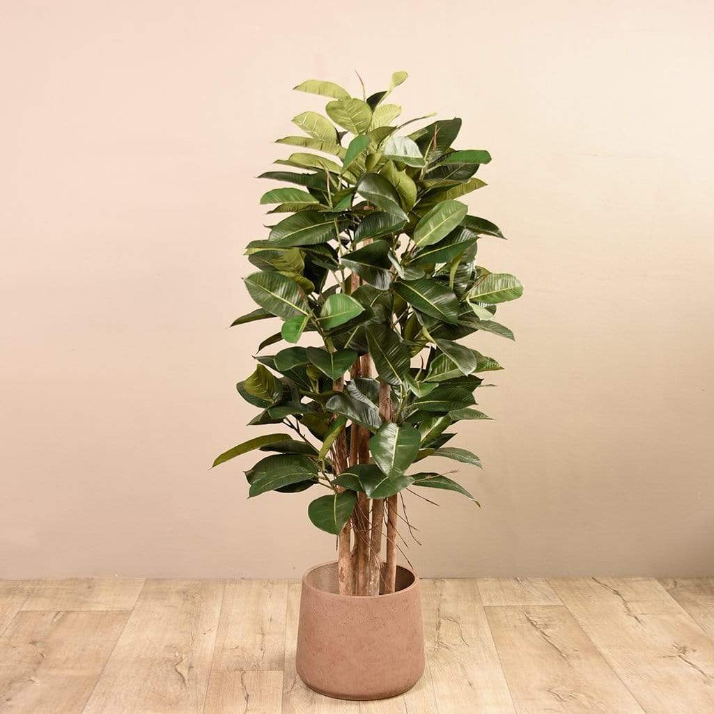 Artificial Rubber Tree 150cm - Image 2