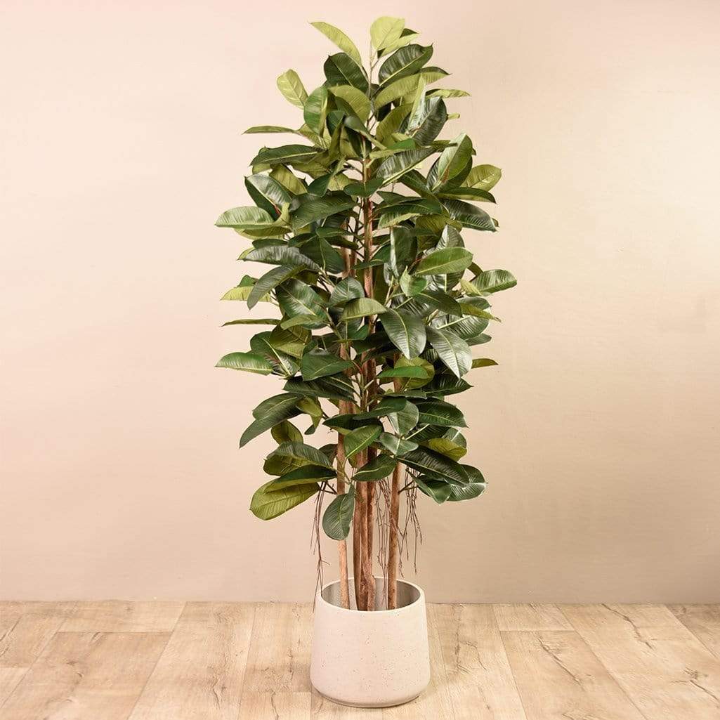Artificial Rubber Tree 180cm - Image 2