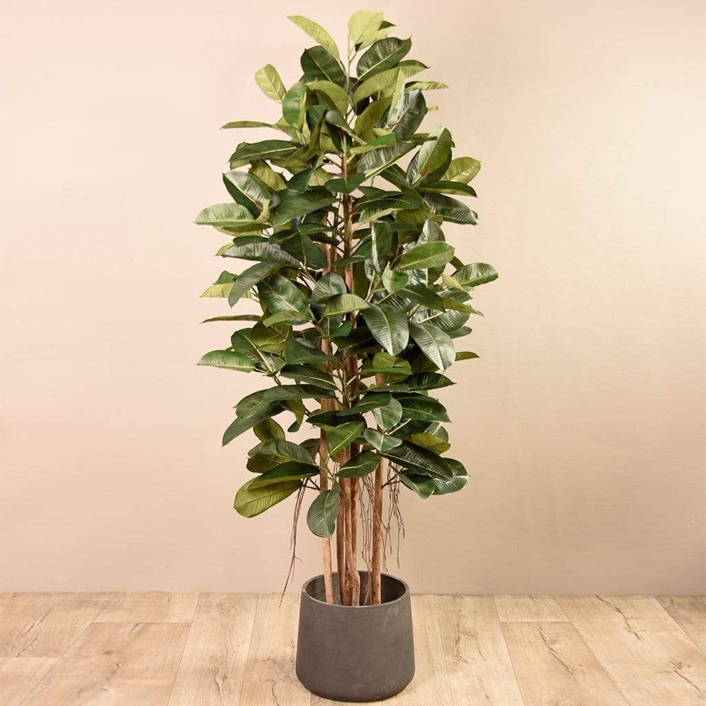 Artificial Rubber Tree 180cm - Image 3