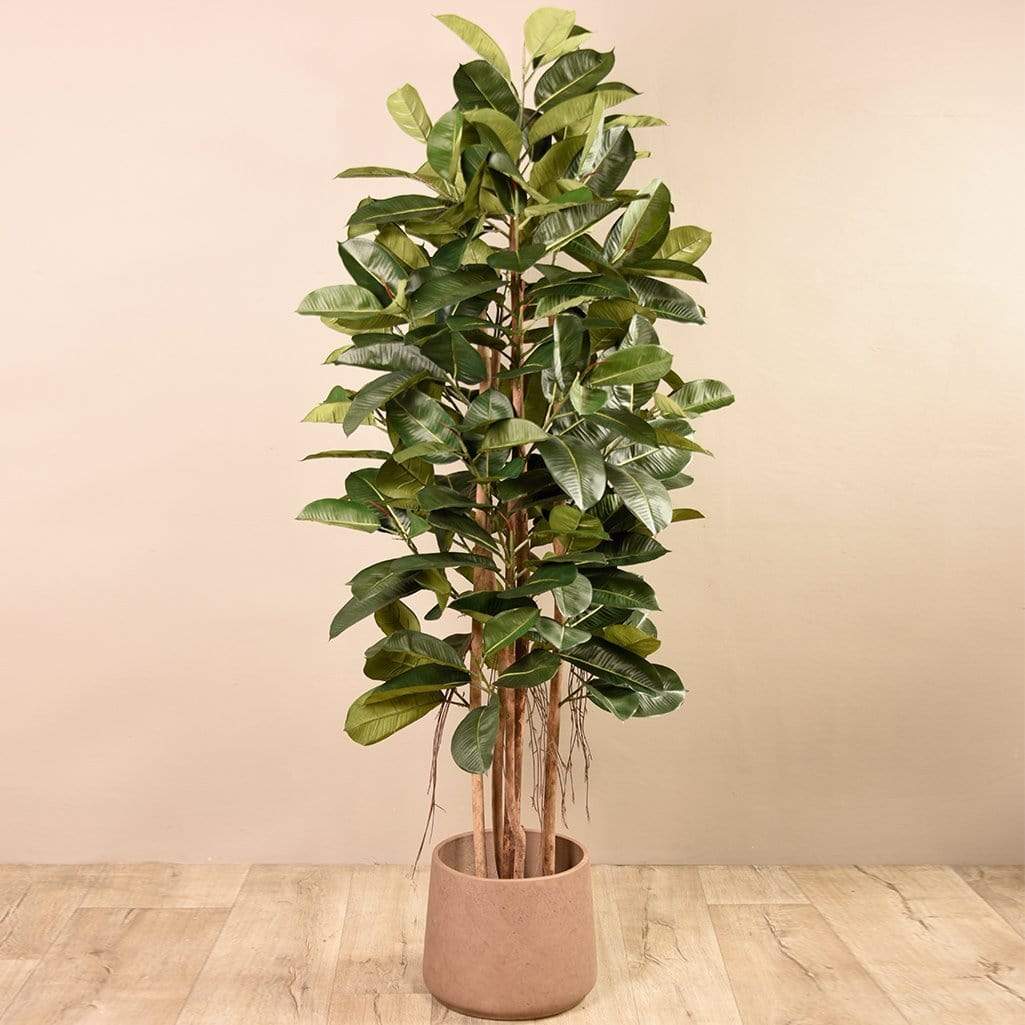 Artificial Rubber Tree 180cm - Image 4