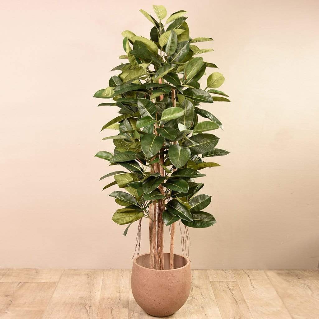 Artificial Rubber Tree 180cm - Image 6