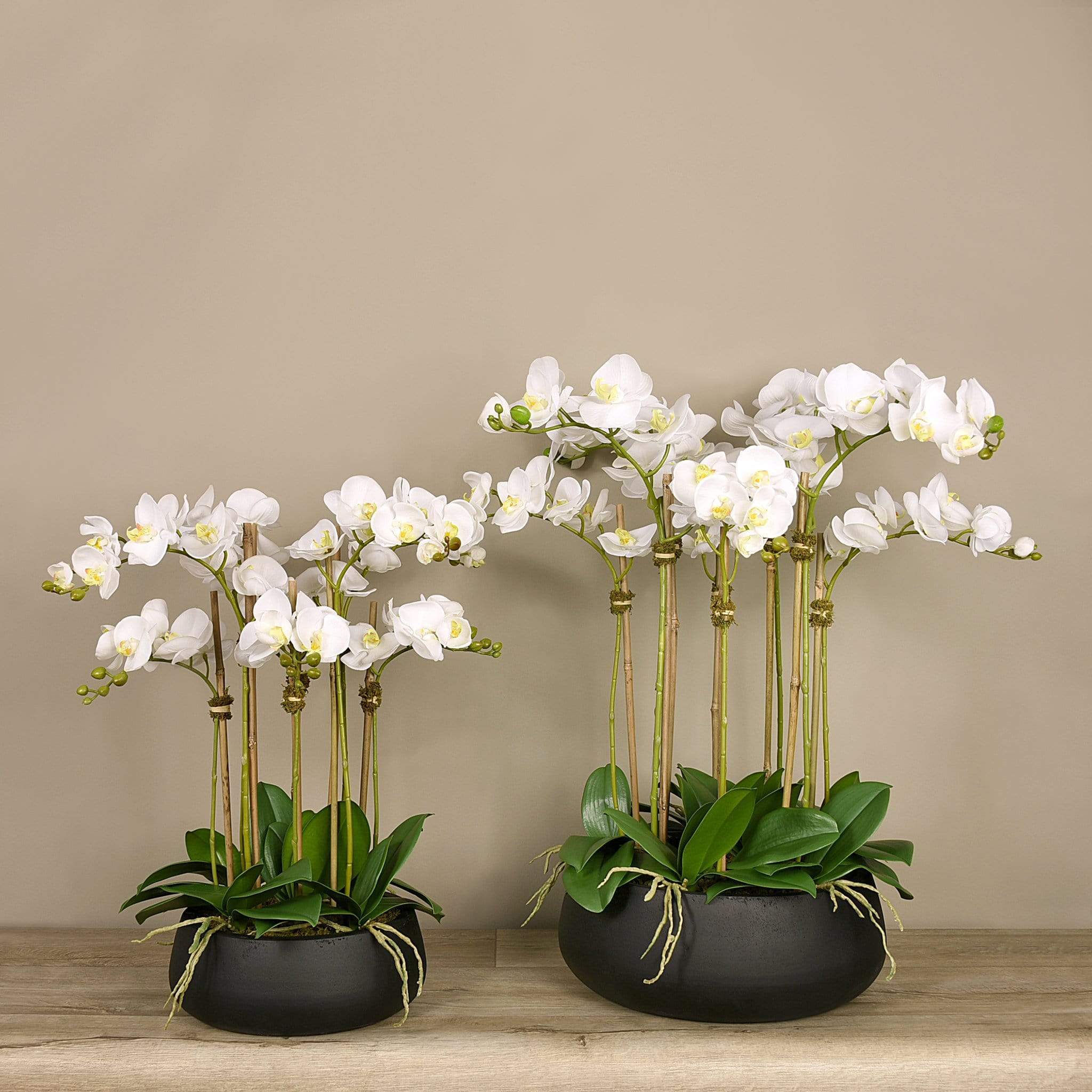 Oasis Artificial Orchids in Black Pot