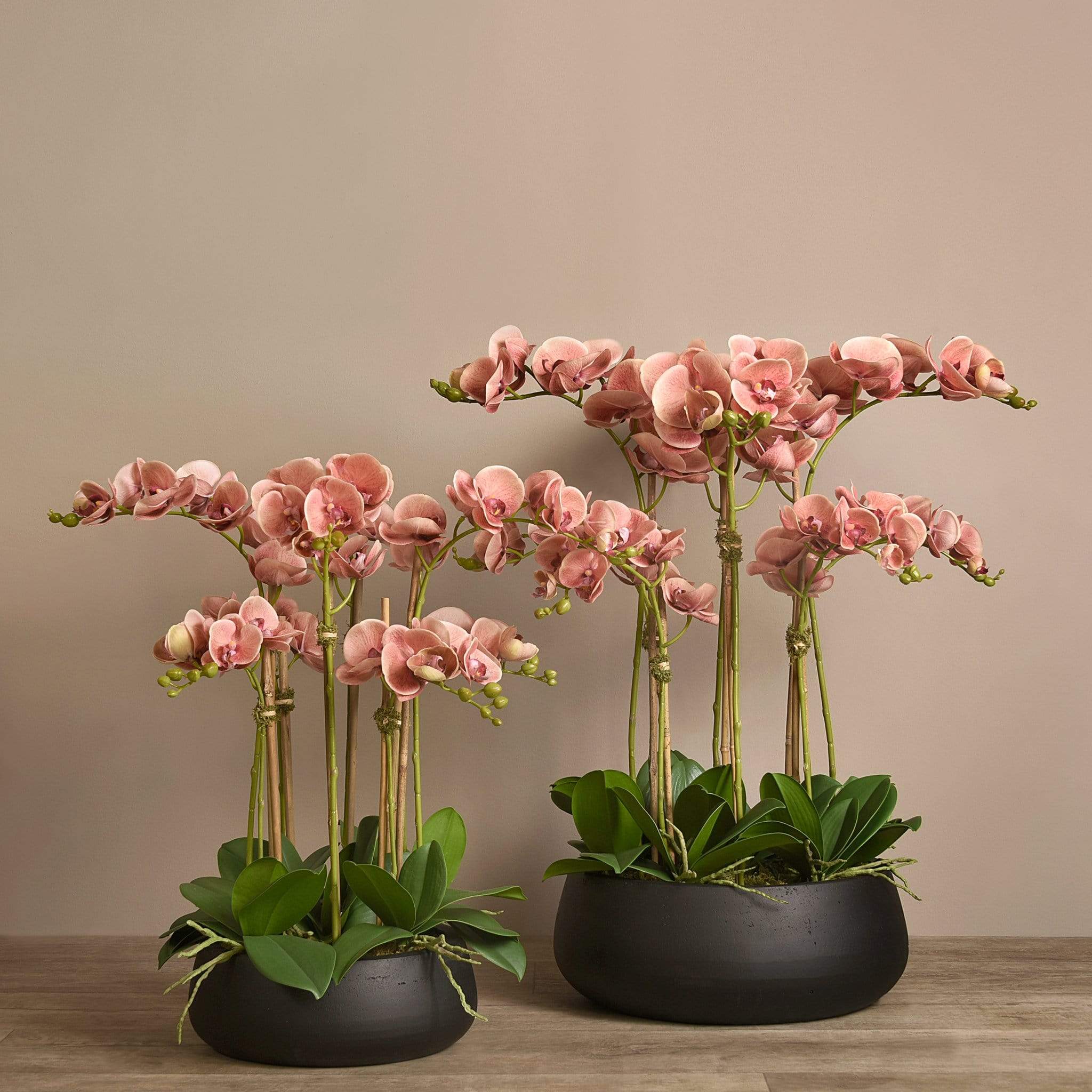 Oasis Artificial Orchids in Black Pot - Image 10