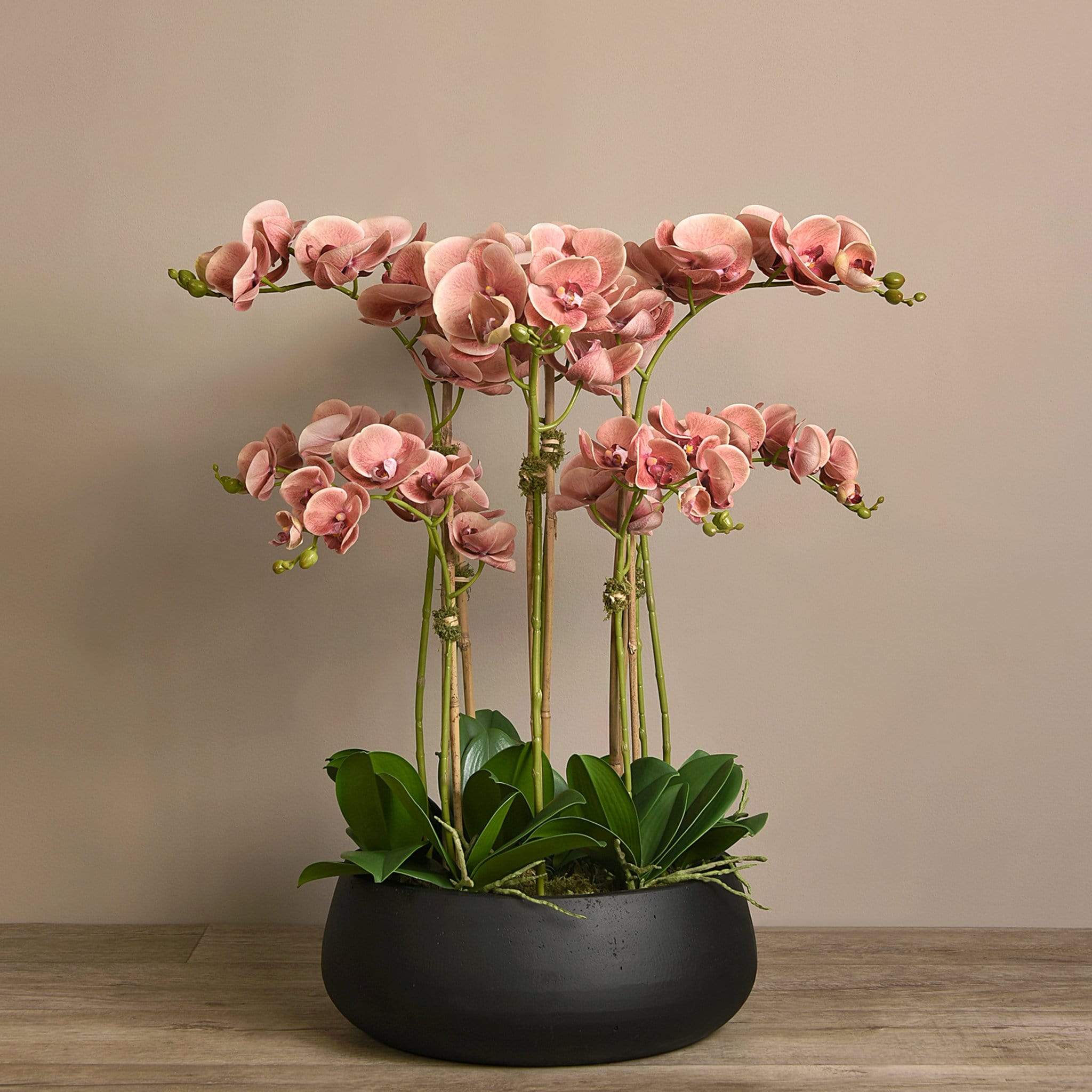 Oasis Artificial Orchids in Black Pot - Image 12