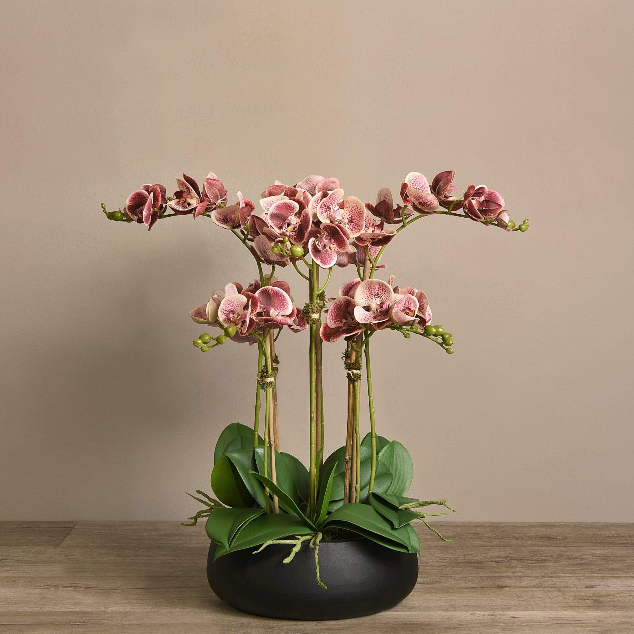 Oasis Artificial Orchids in Black Pot - Image 14