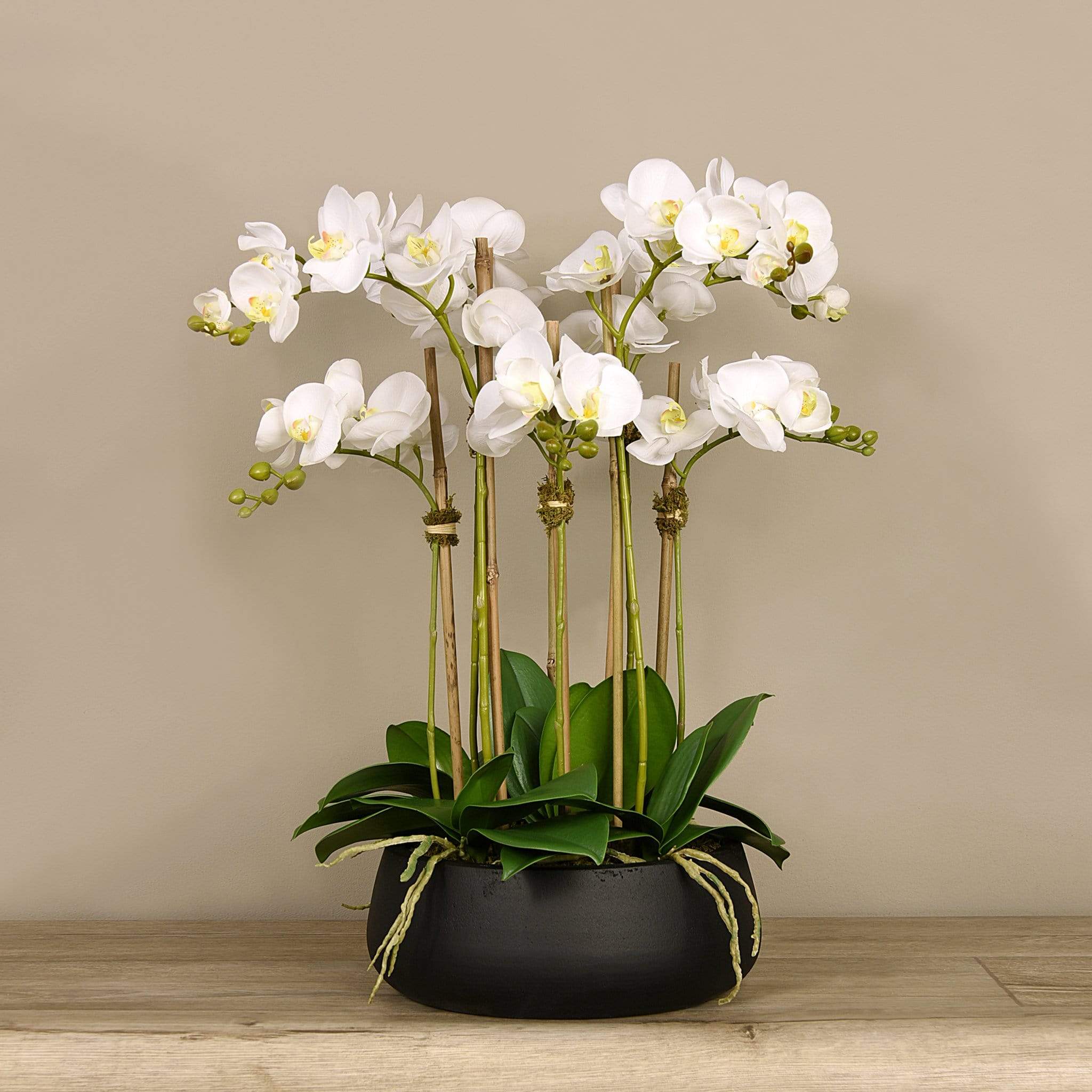 Oasis Artificial Orchids in Black Pot - Image 2