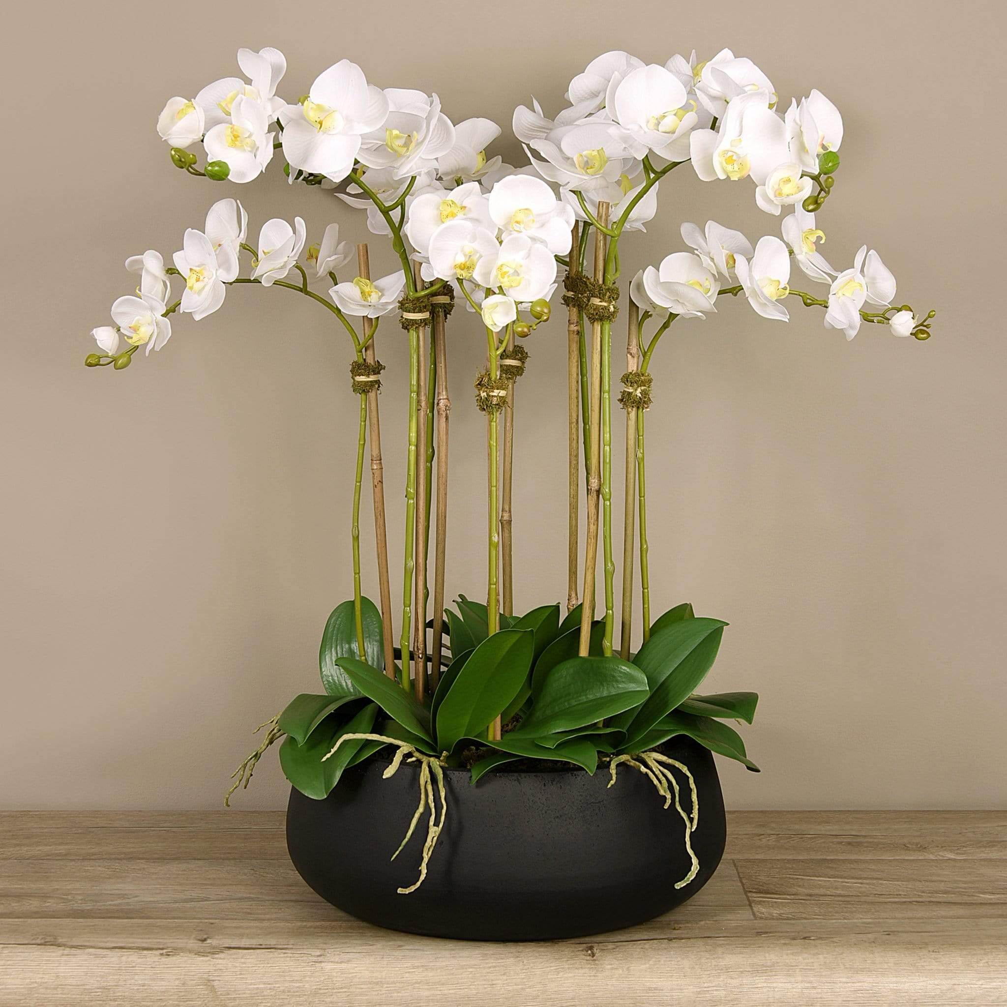 Oasis Artificial Orchids in Black Pot - Image 3