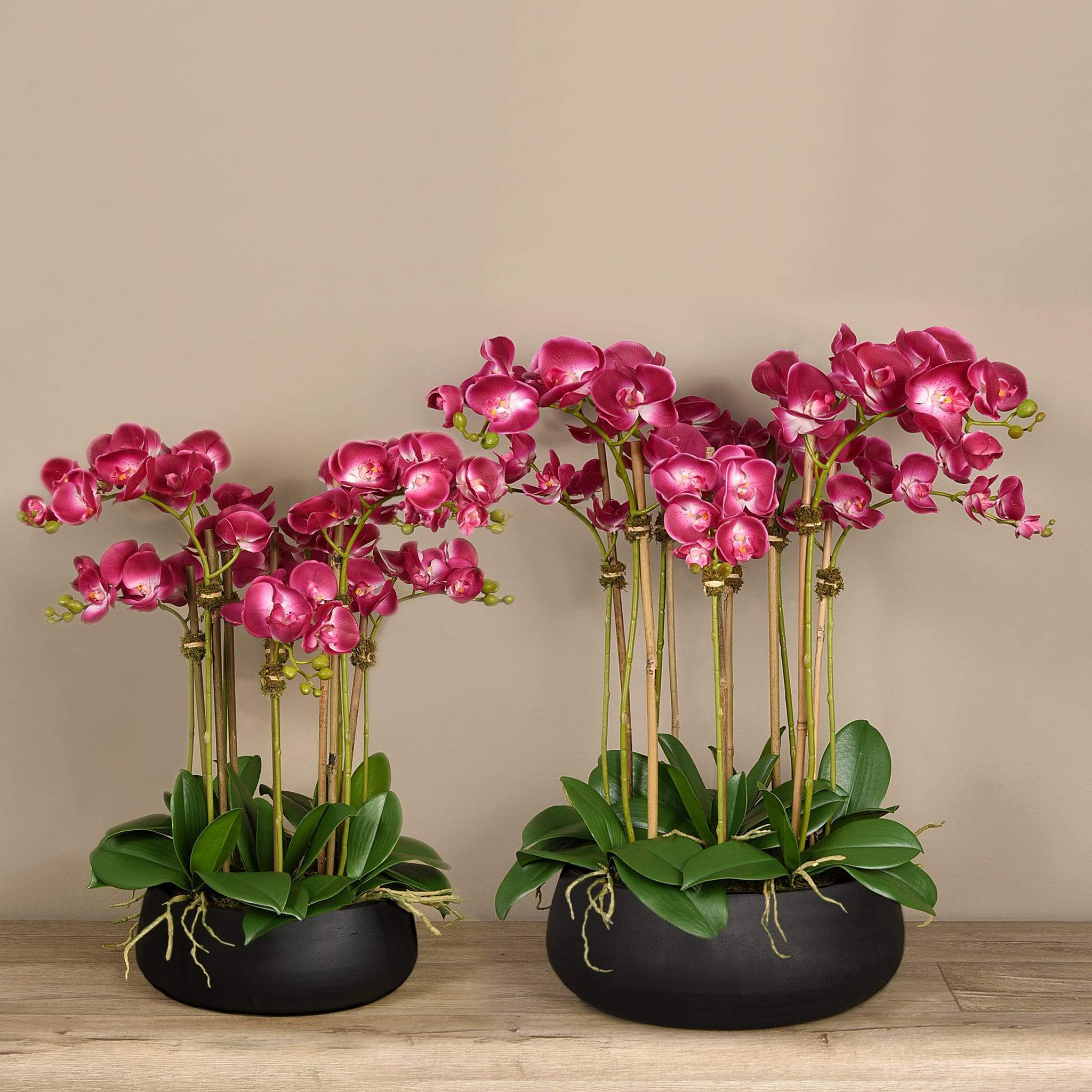 Oasis Artificial Orchids in Black Pot - Image 4