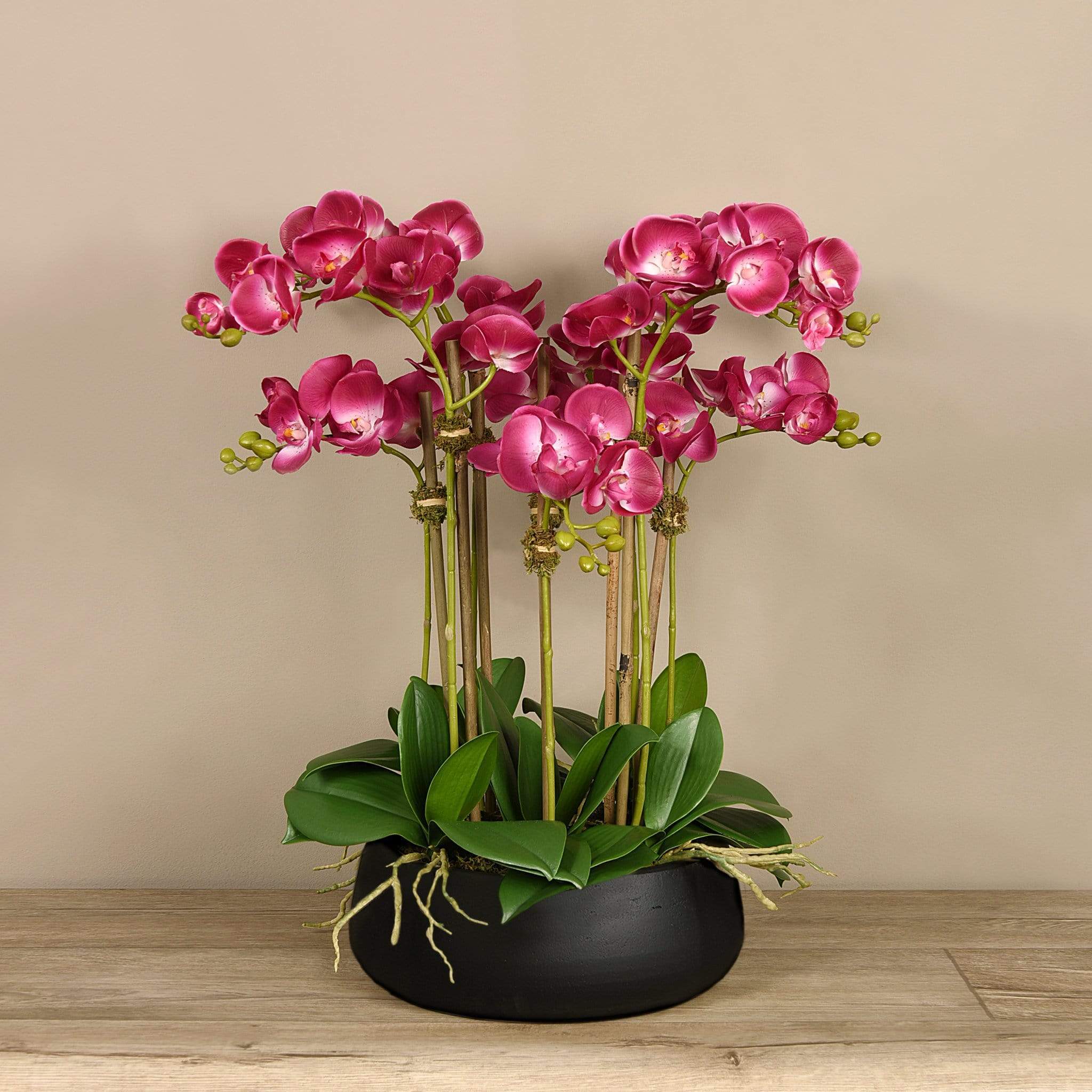 Oasis Artificial Orchids in Black Pot - Image 5