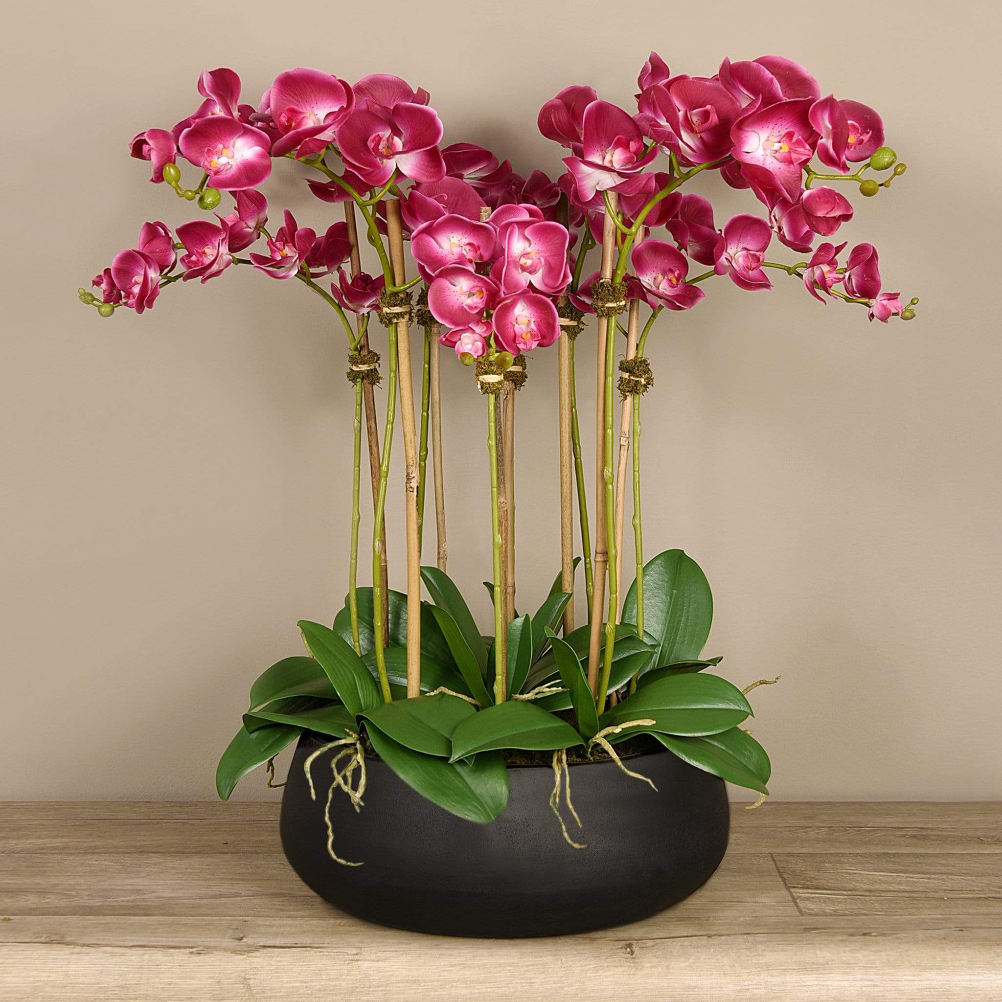 Oasis Artificial Orchids in Black Pot - Image 6