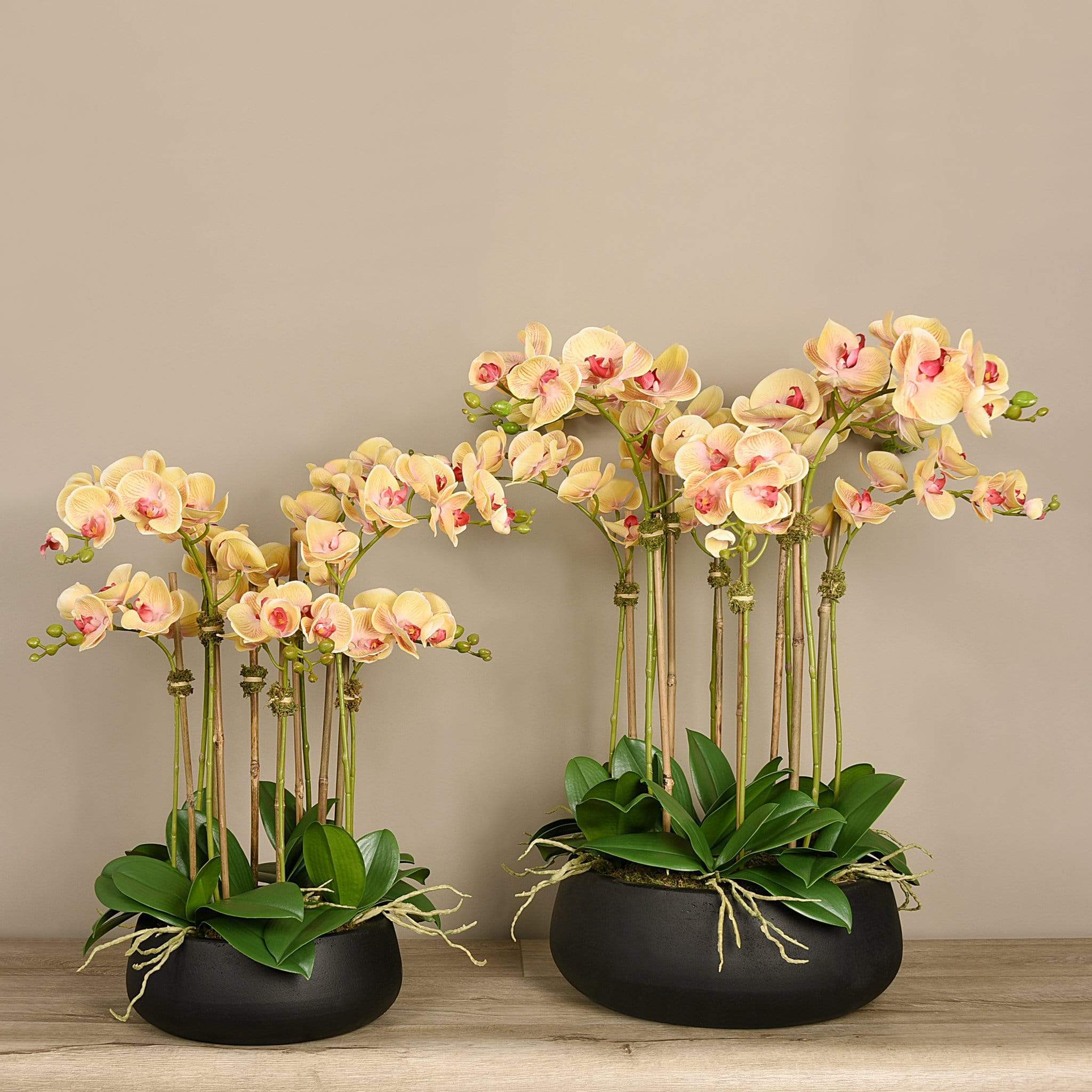 Oasis Artificial Orchids in Black Pot - Image 7