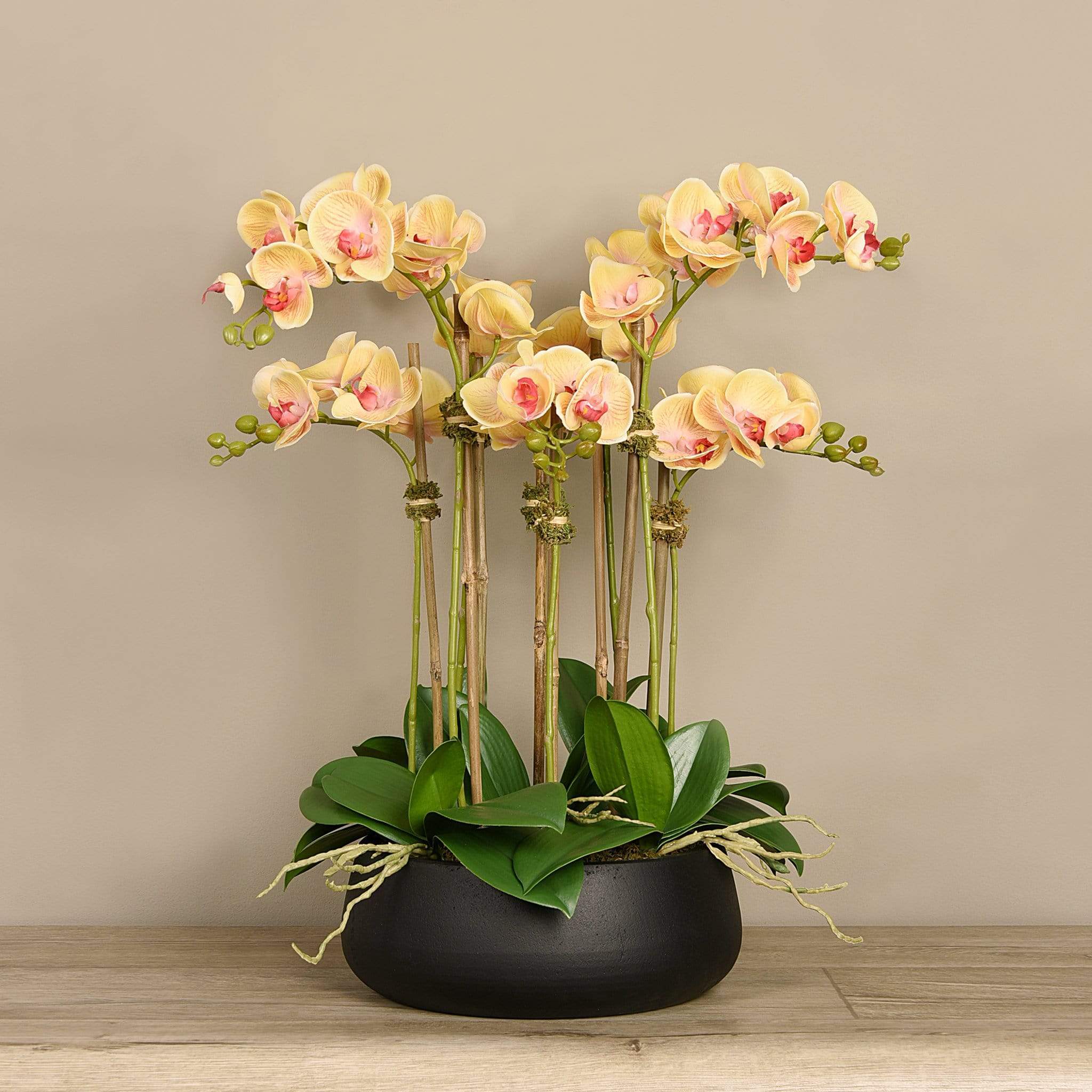 Oasis Artificial Orchids in Black Pot - Image 8