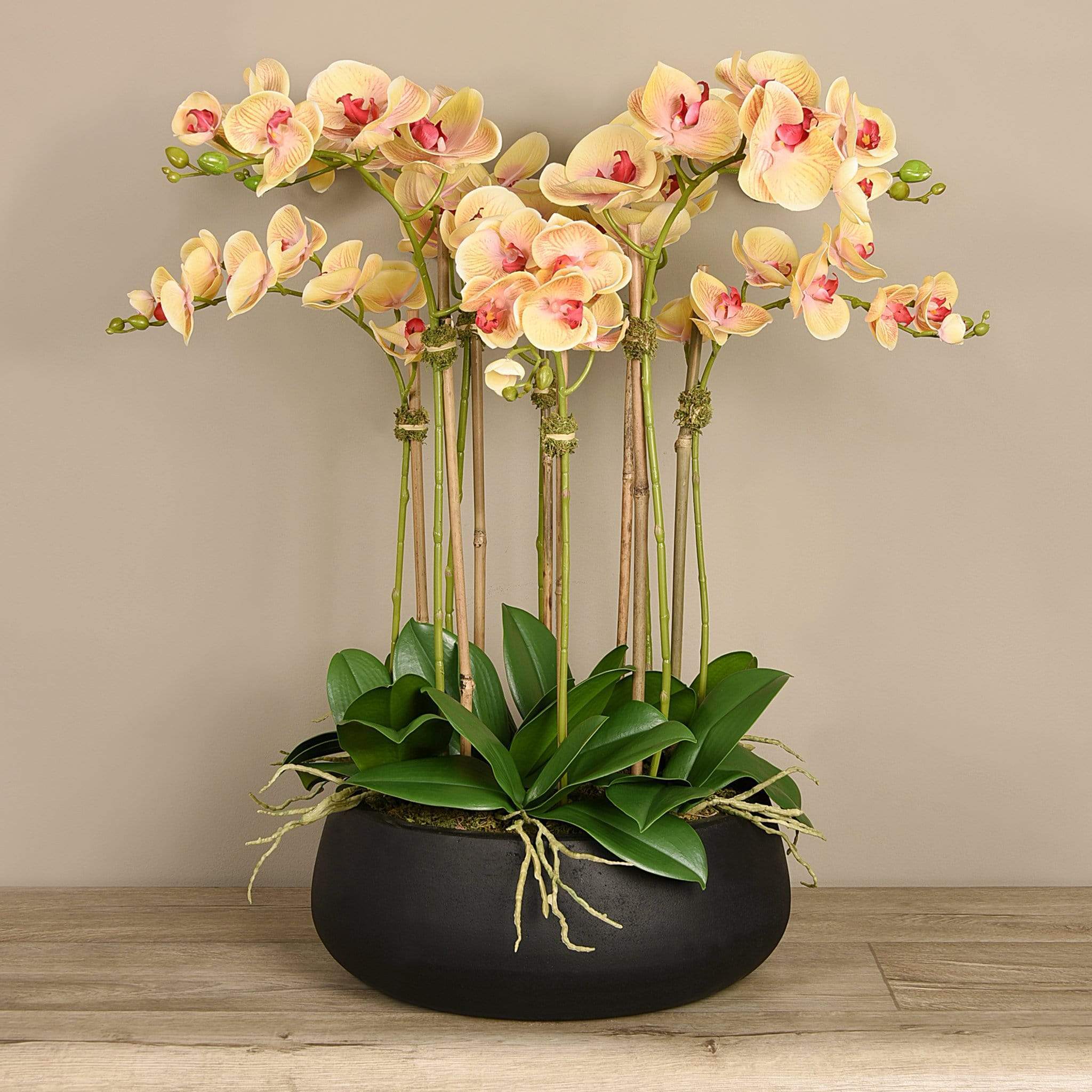 Oasis Artificial Orchids in Black Pot - Image 9
