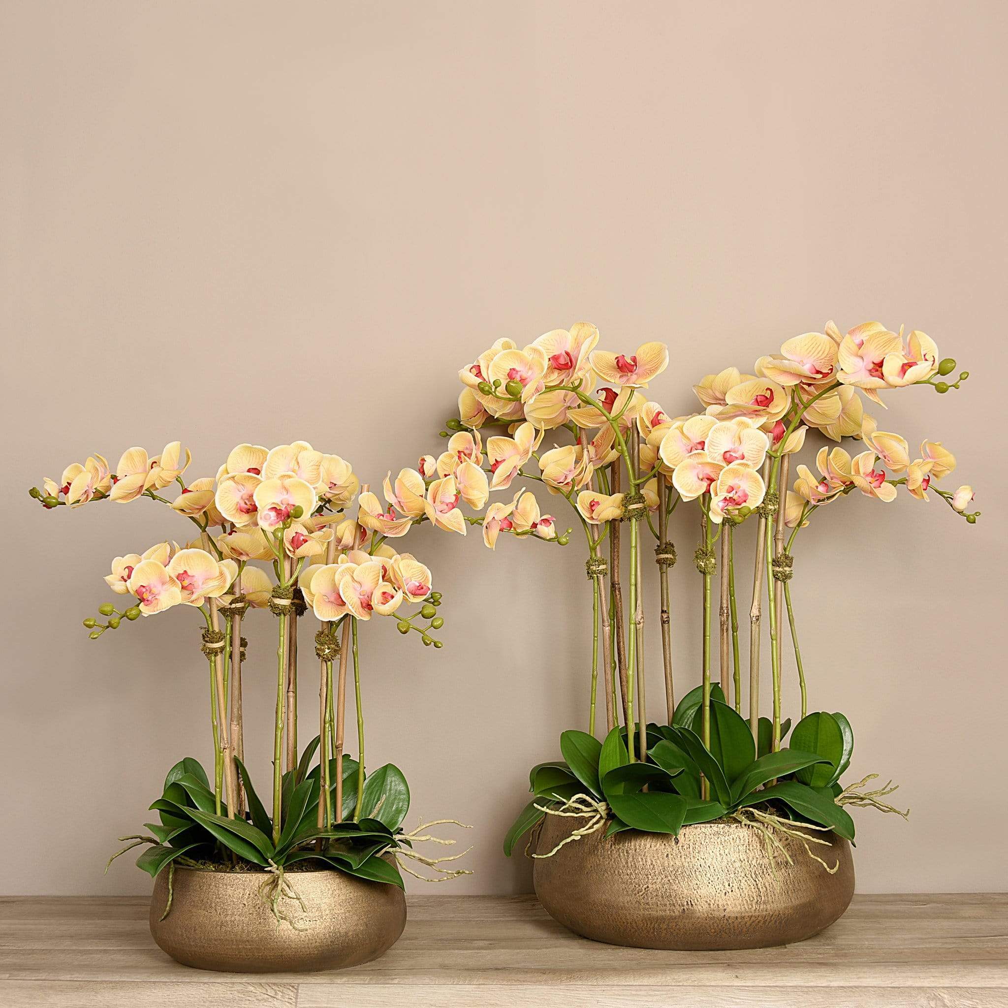 Oasis Artificial Orchids in Gold Pot - Image 10
